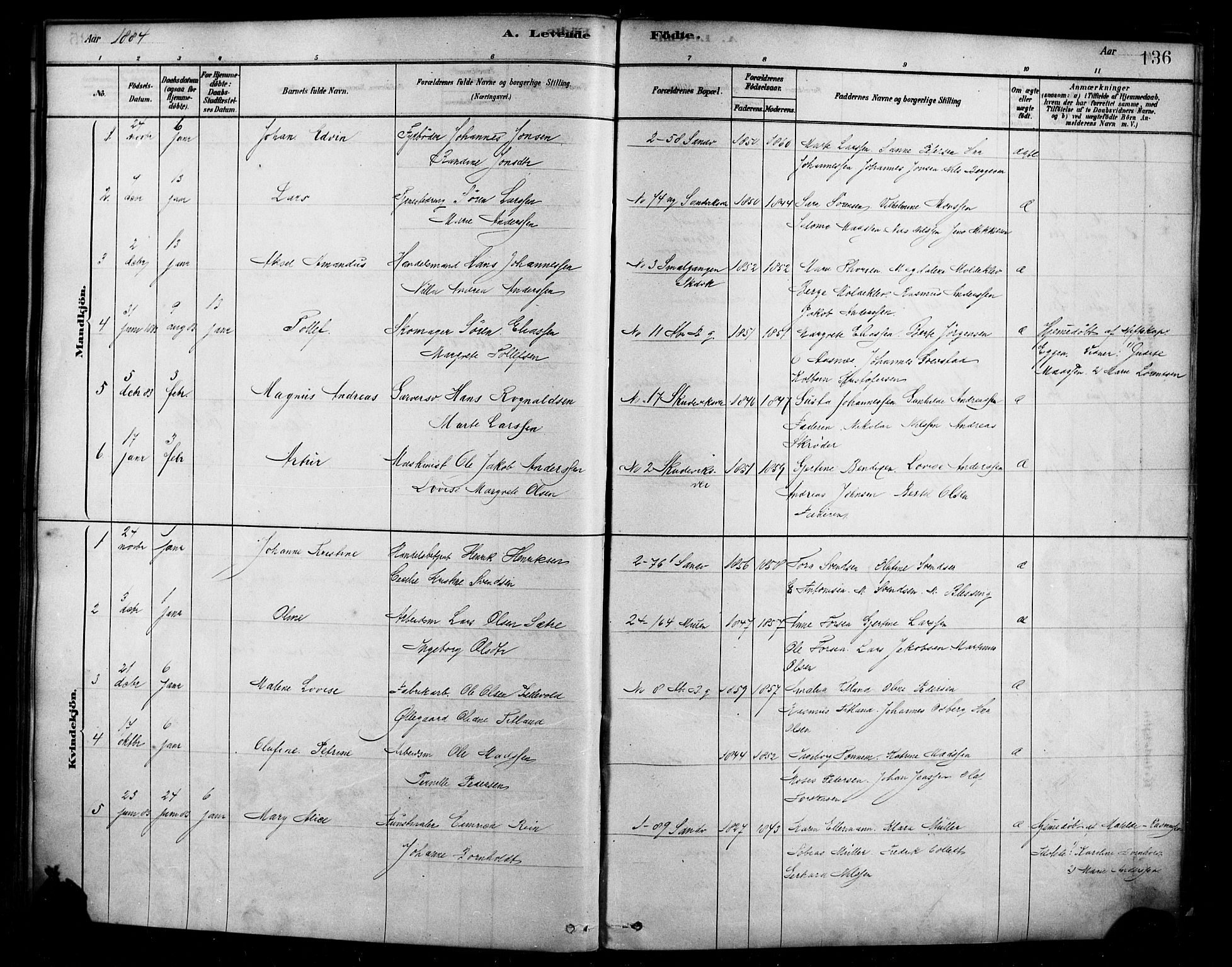 Sandviken Sokneprestembete, AV/SAB-A-77601/H/Ha/L0004: Parish register (official) no. B 1, 1878-1891, p. 136