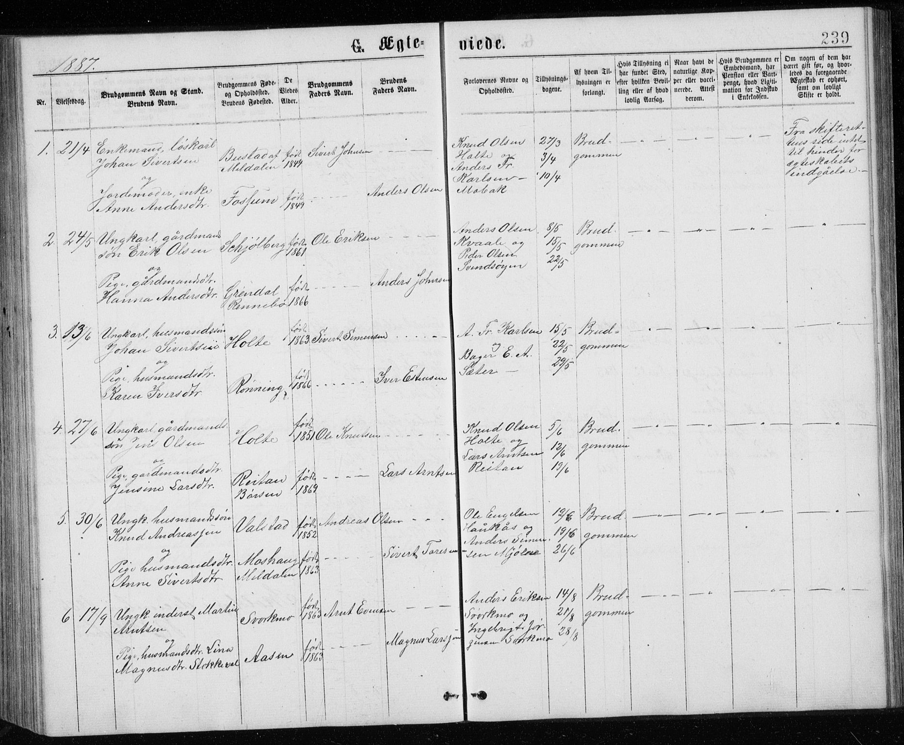 Ministerialprotokoller, klokkerbøker og fødselsregistre - Sør-Trøndelag, SAT/A-1456/671/L0843: Parish register (copy) no. 671C02, 1873-1892, p. 239