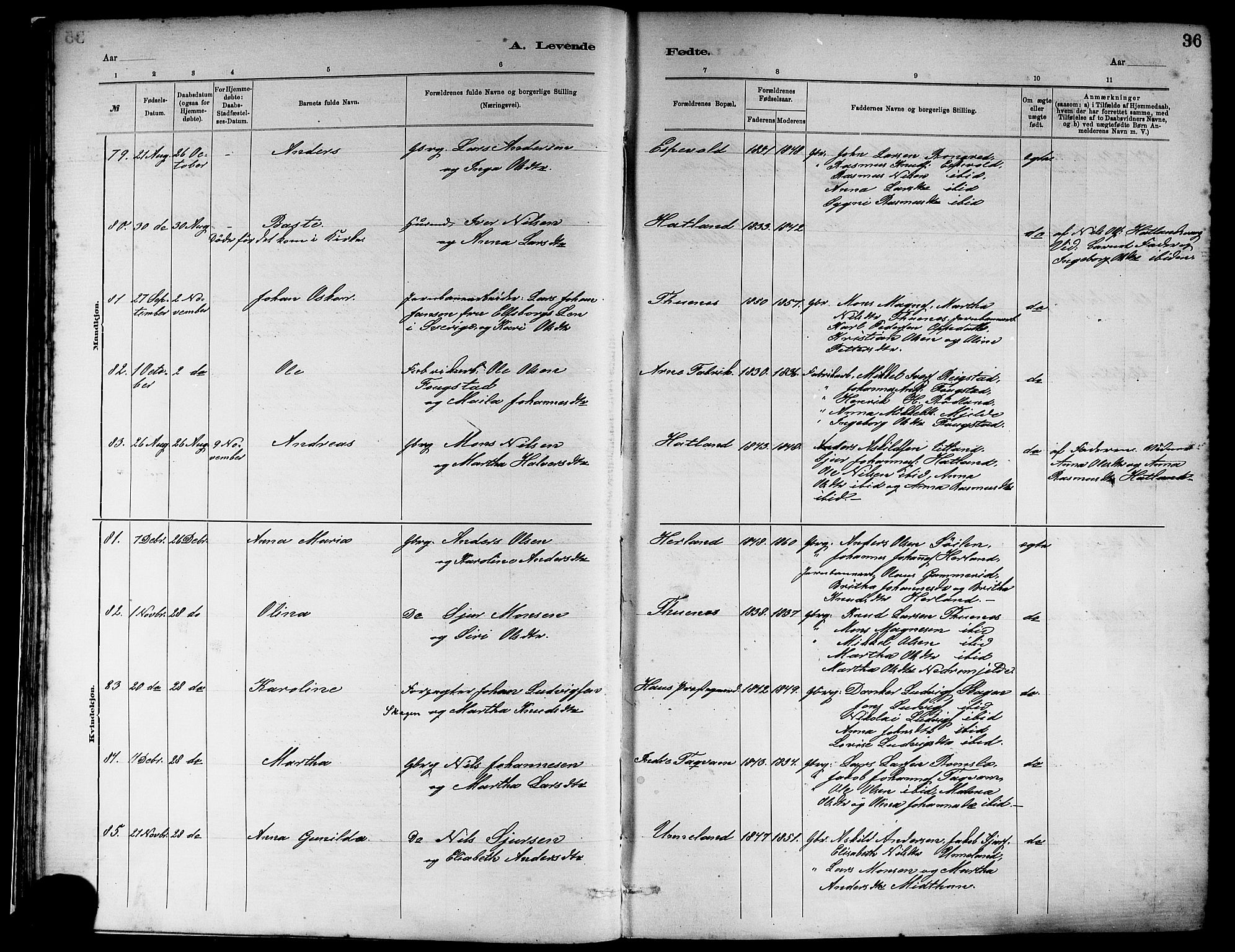 Haus sokneprestembete, AV/SAB-A-75601/H/Haa: Parish register (official) no. A 19I, 1878-1886, p. 36