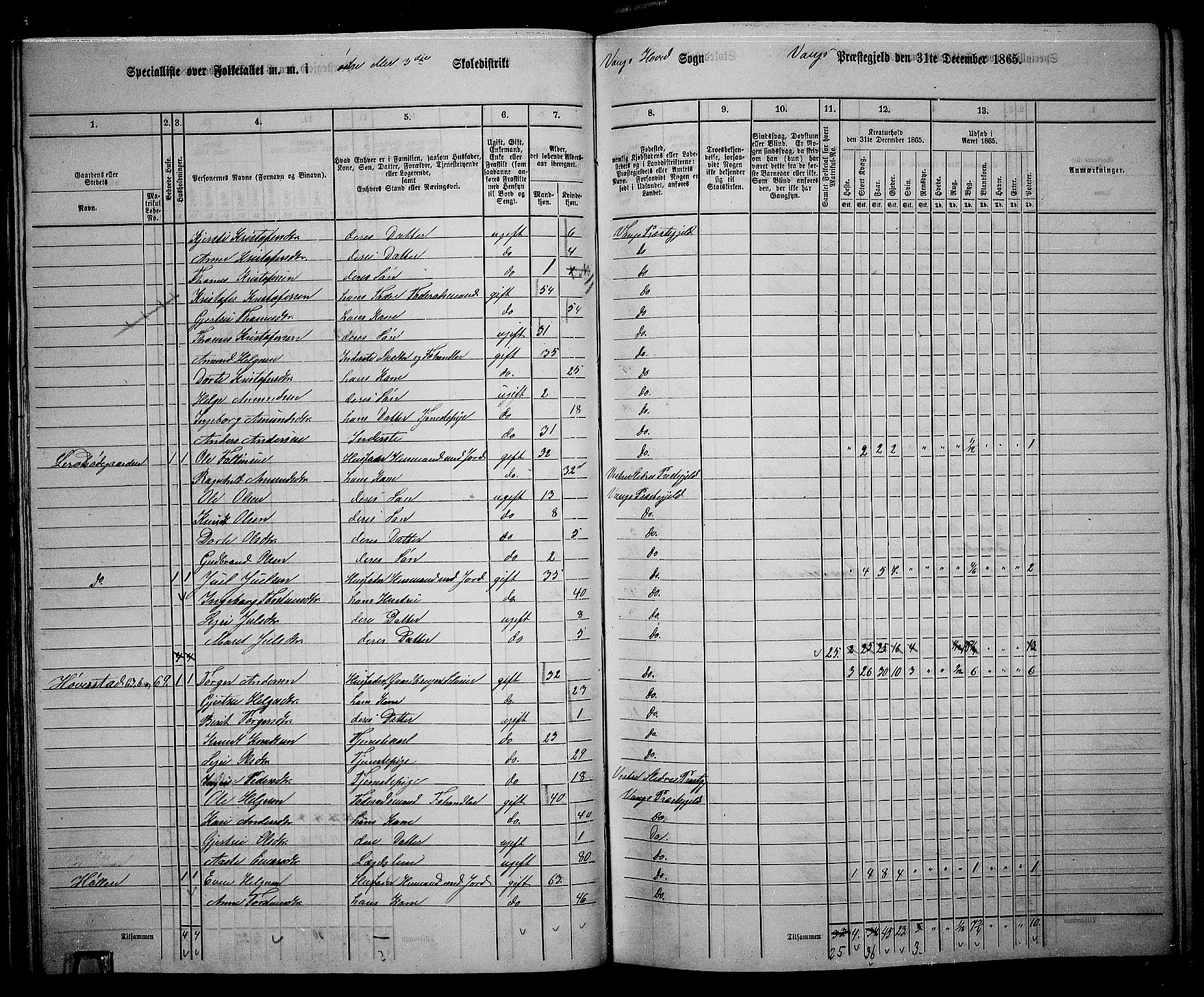 RA, 1865 census for Vang, 1865, p. 53