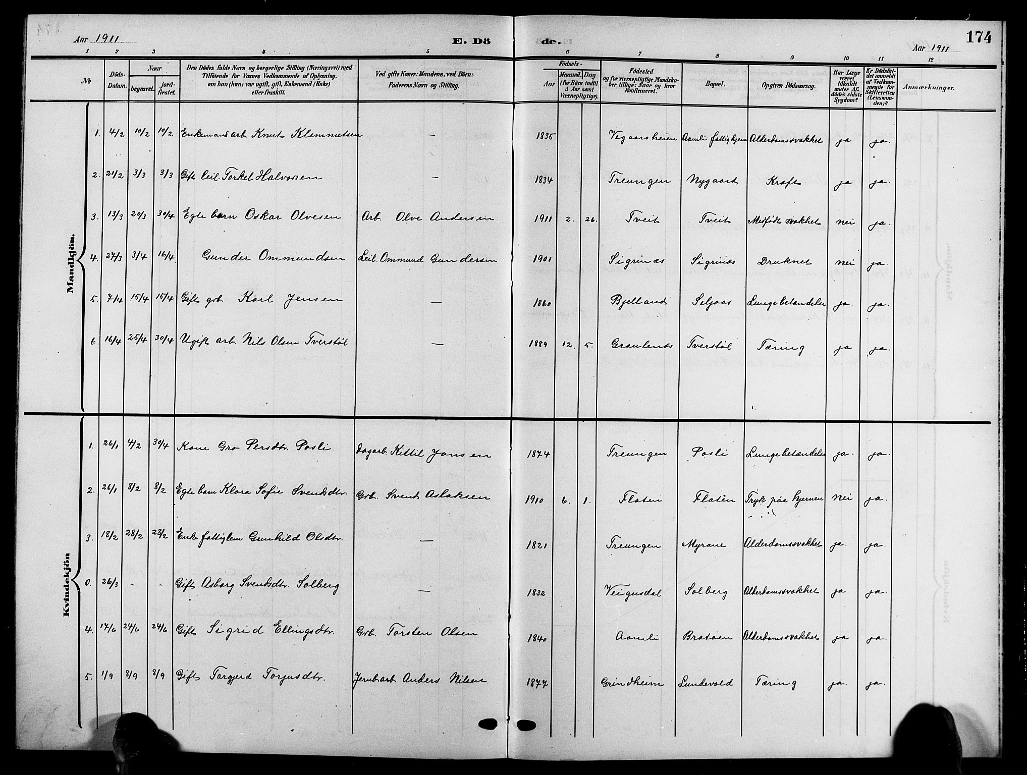 Åmli sokneprestkontor, SAK/1111-0050/F/Fb/Fbc/L0005: Parish register (copy) no. B 5, 1903-1916, p. 174