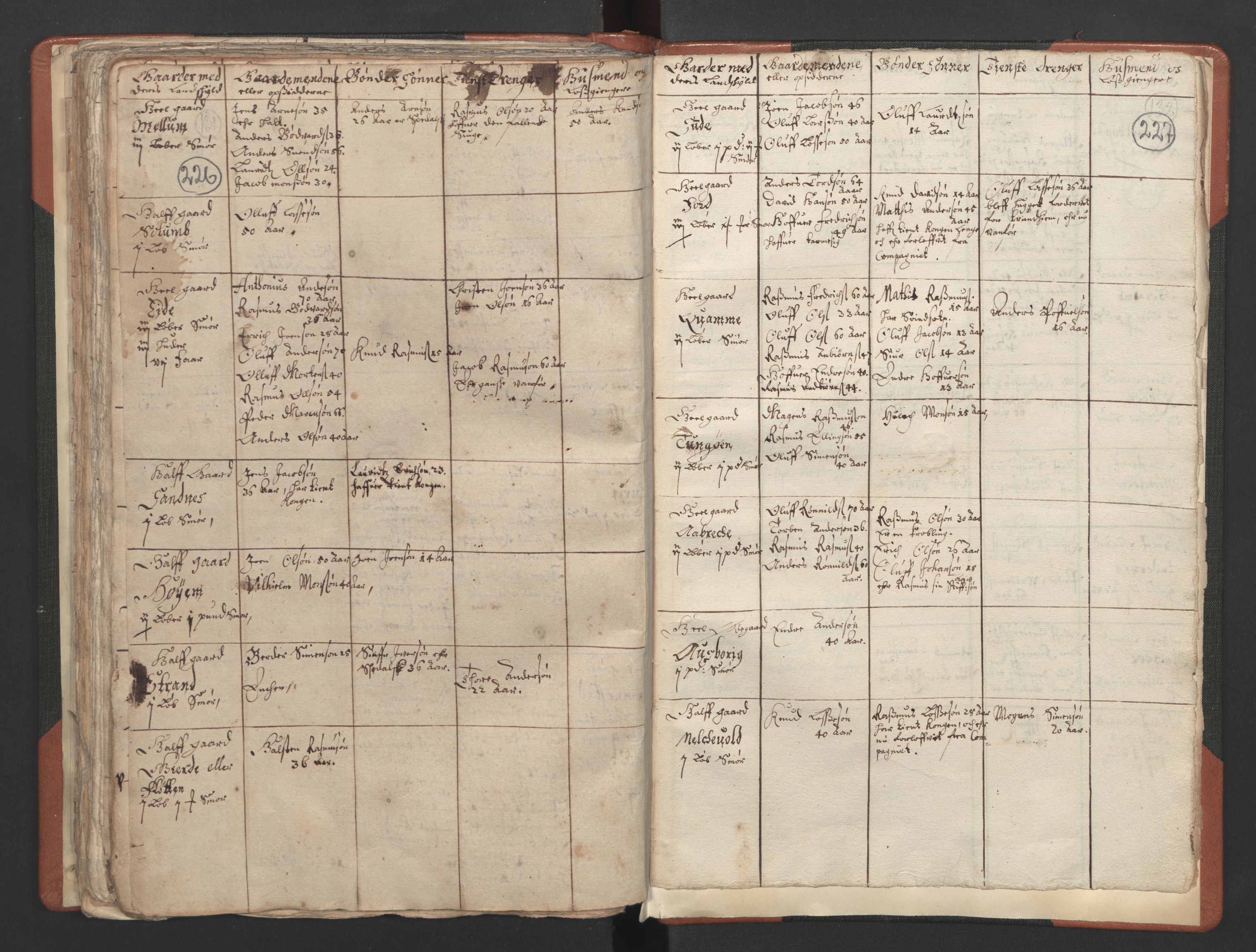 RA, Vicar's Census 1664-1666, no. 25: Nordfjord deanery, 1664-1666, p. 226-227