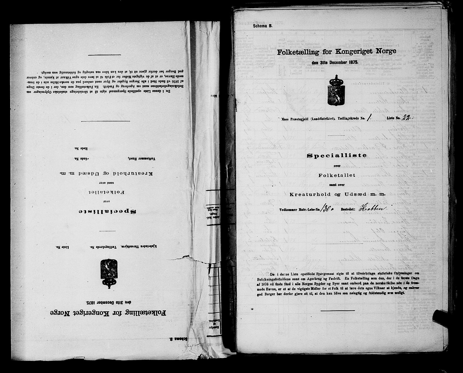 RA, 1875 census for 0194L Moss/Moss, 1875, p. 15