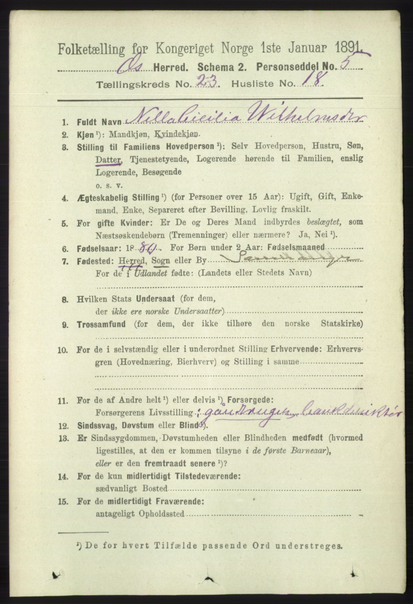 RA, 1891 census for 1243 Os, 1891, p. 5179