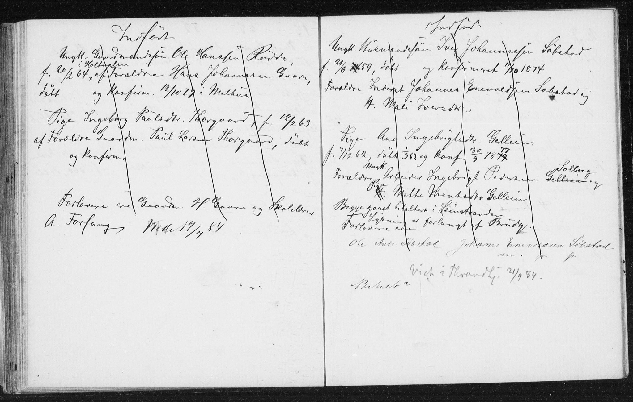 Melhus sokneprestkontor, AV/SAT-A-1141/1/I/I1/I1f/L0010: Banns register no. 691.I.1F10, 1867-1894