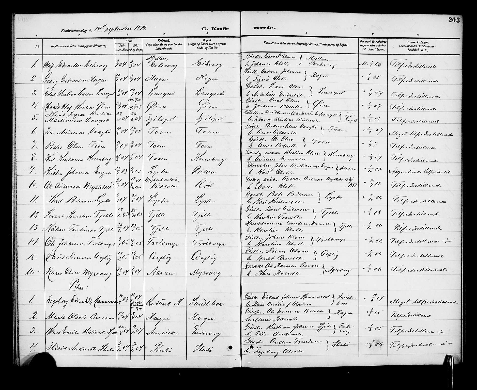 Ministerialprotokoller, klokkerbøker og fødselsregistre - Møre og Romsdal, SAT/A-1454/551/L0632: Parish register (copy) no. 551C04, 1894-1920, p. 203