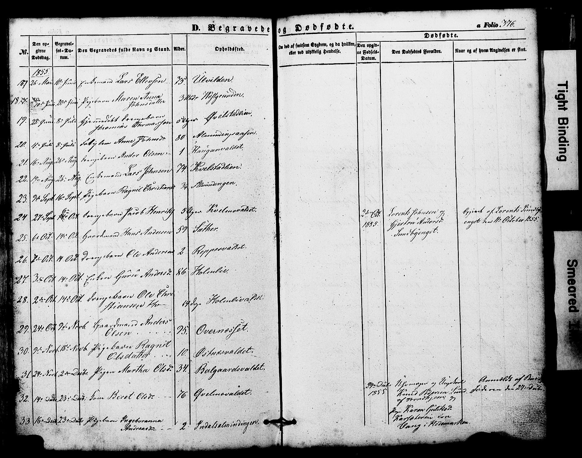 Ministerialprotokoller, klokkerbøker og fødselsregistre - Nord-Trøndelag, SAT/A-1458/724/L0268: Parish register (copy) no. 724C04, 1846-1878, p. 376