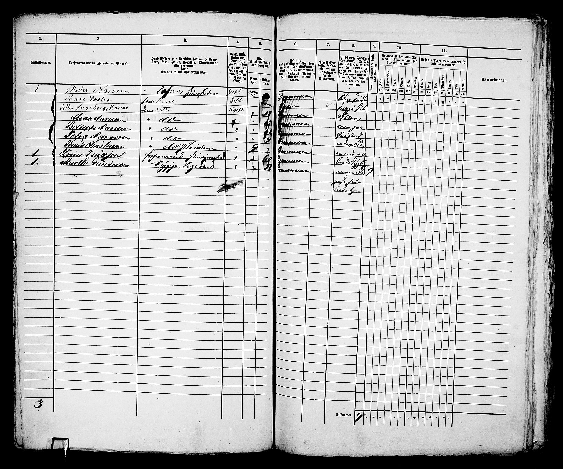 RA, 1865 census for Bragernes in Drammen, 1865, p. 314