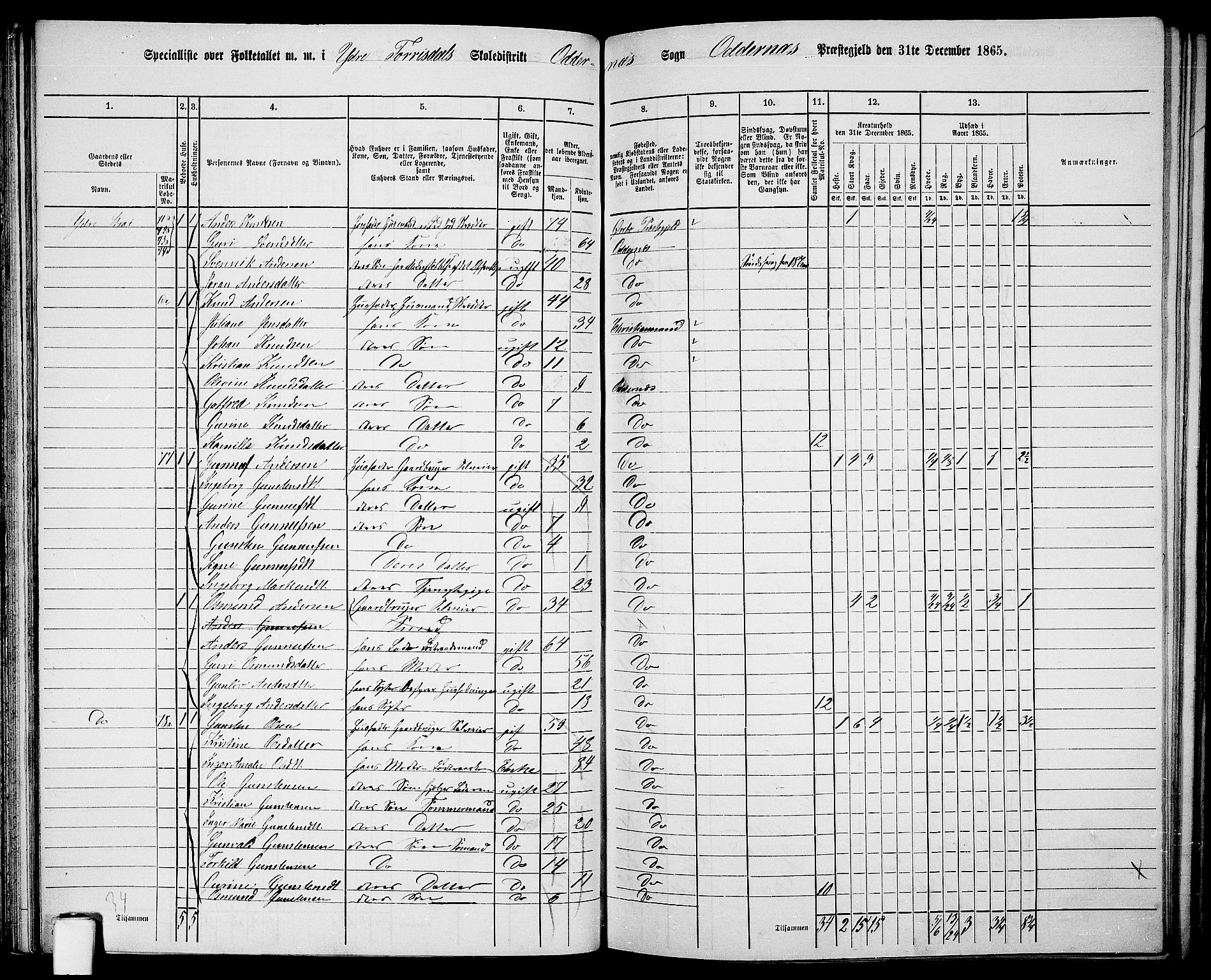 RA, 1865 census for Oddernes, 1865, p. 55