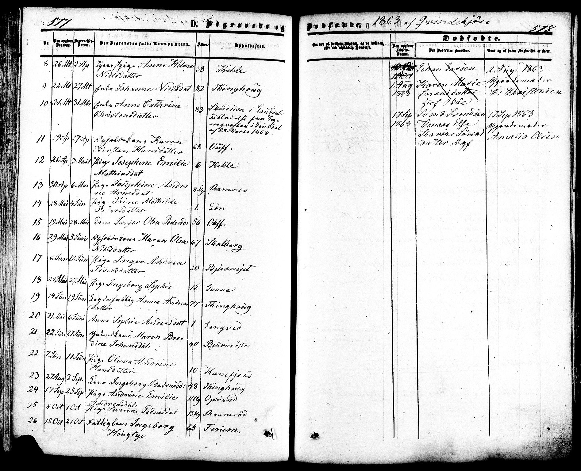 Ramnes kirkebøker, AV/SAKO-A-314/F/Fa/L0006: Parish register (official) no. I 6, 1862-1877, p. 577-578