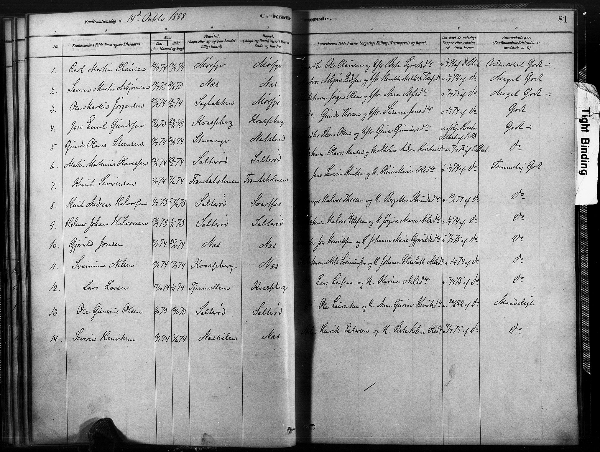 Austre Moland sokneprestkontor, SAK/1111-0001/F/Fa/Fab/L0001: Parish register (official) no. A 1, 1878-1898, p. 81