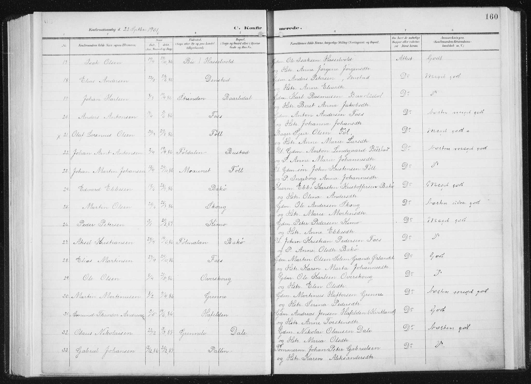 Ministerialprotokoller, klokkerbøker og fødselsregistre - Sør-Trøndelag, AV/SAT-A-1456/647/L0635: Parish register (official) no. 647A02, 1896-1911, p. 160