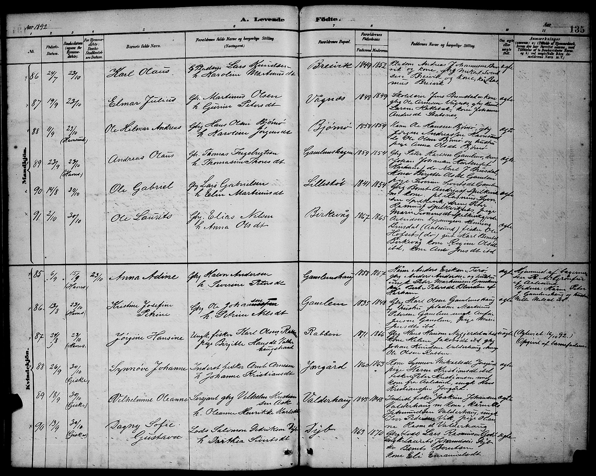 Ministerialprotokoller, klokkerbøker og fødselsregistre - Møre og Romsdal, AV/SAT-A-1454/528/L0431: Parish register (copy) no. 528C12, 1885-1898, p. 135