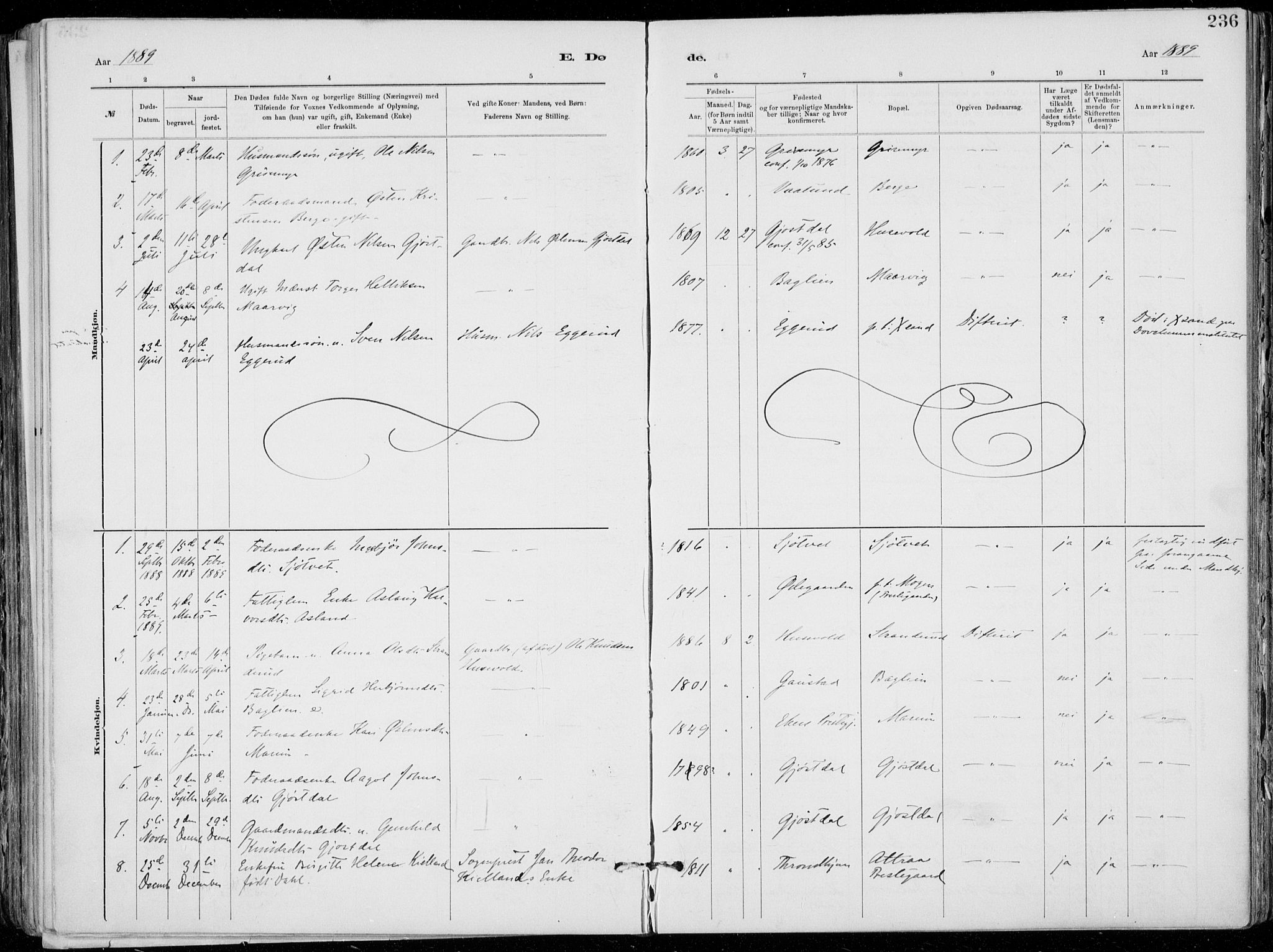 Tinn kirkebøker, SAKO/A-308/F/Fa/L0007: Parish register (official) no. I 7, 1878-1922, p. 236