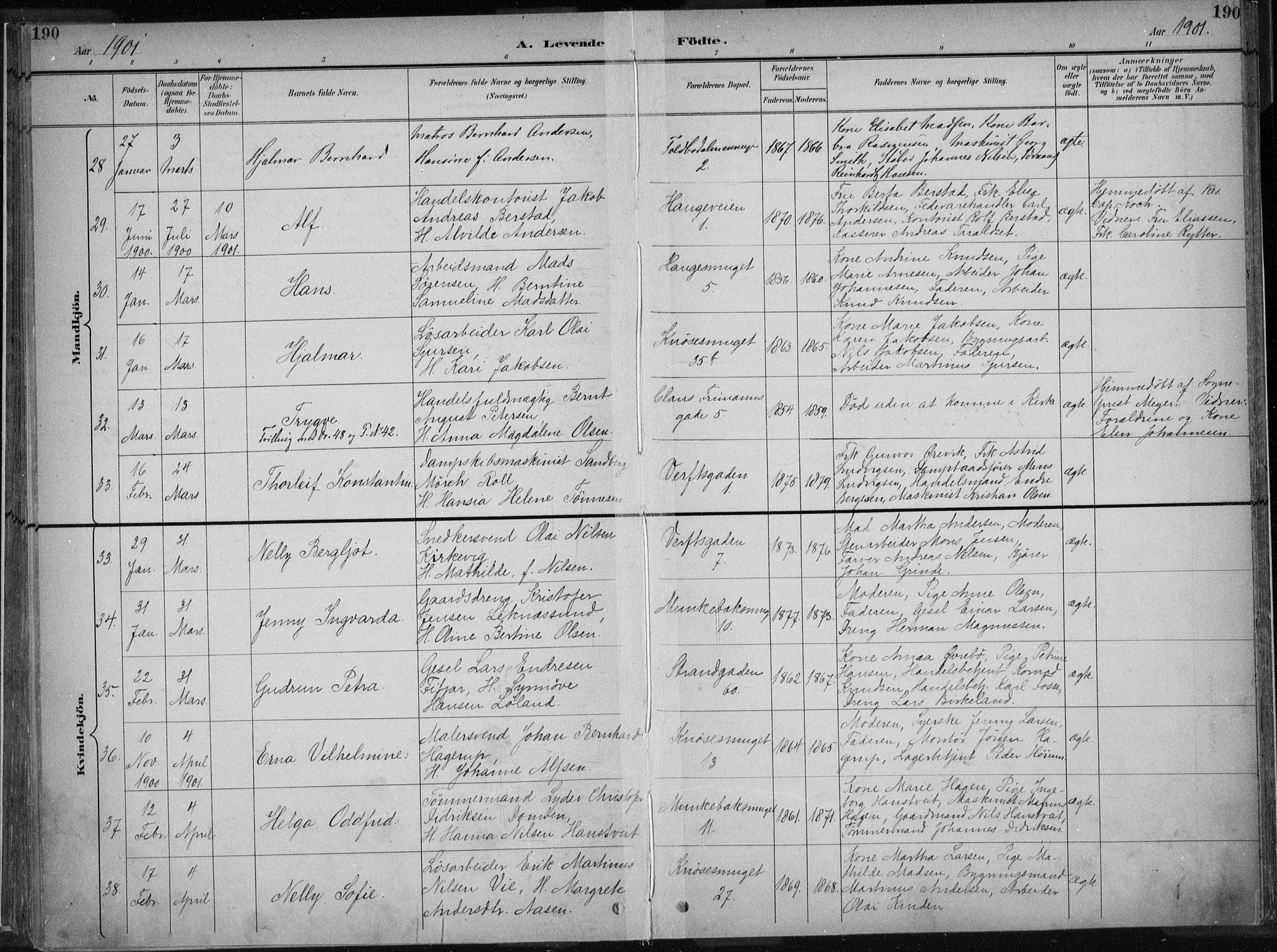 Nykirken Sokneprestembete, AV/SAB-A-77101/H/Haa/L0018: Parish register (official) no. B 6, 1895-1903, p. 190