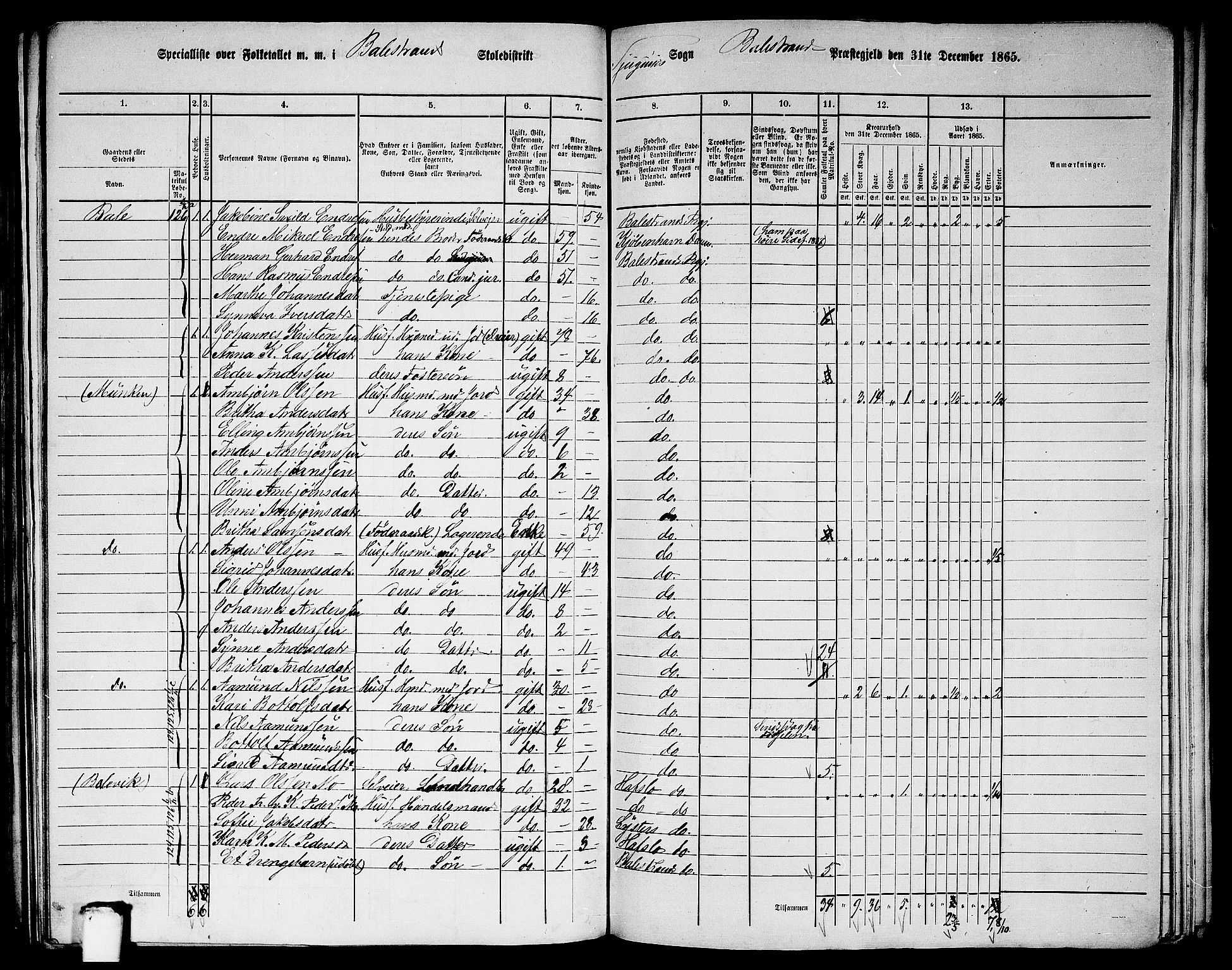 RA, 1865 census for Balestrand, 1865, p. 17