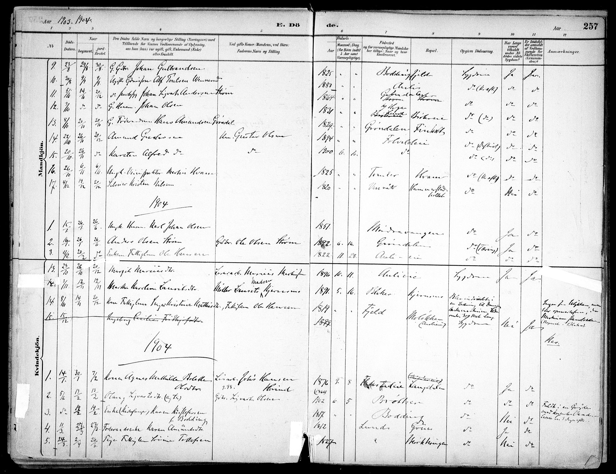 Nes prestekontor Kirkebøker, SAO/A-10410/F/Fc/L0002: Parish register (official) no. IIi 2, 1882-1916, p. 257
