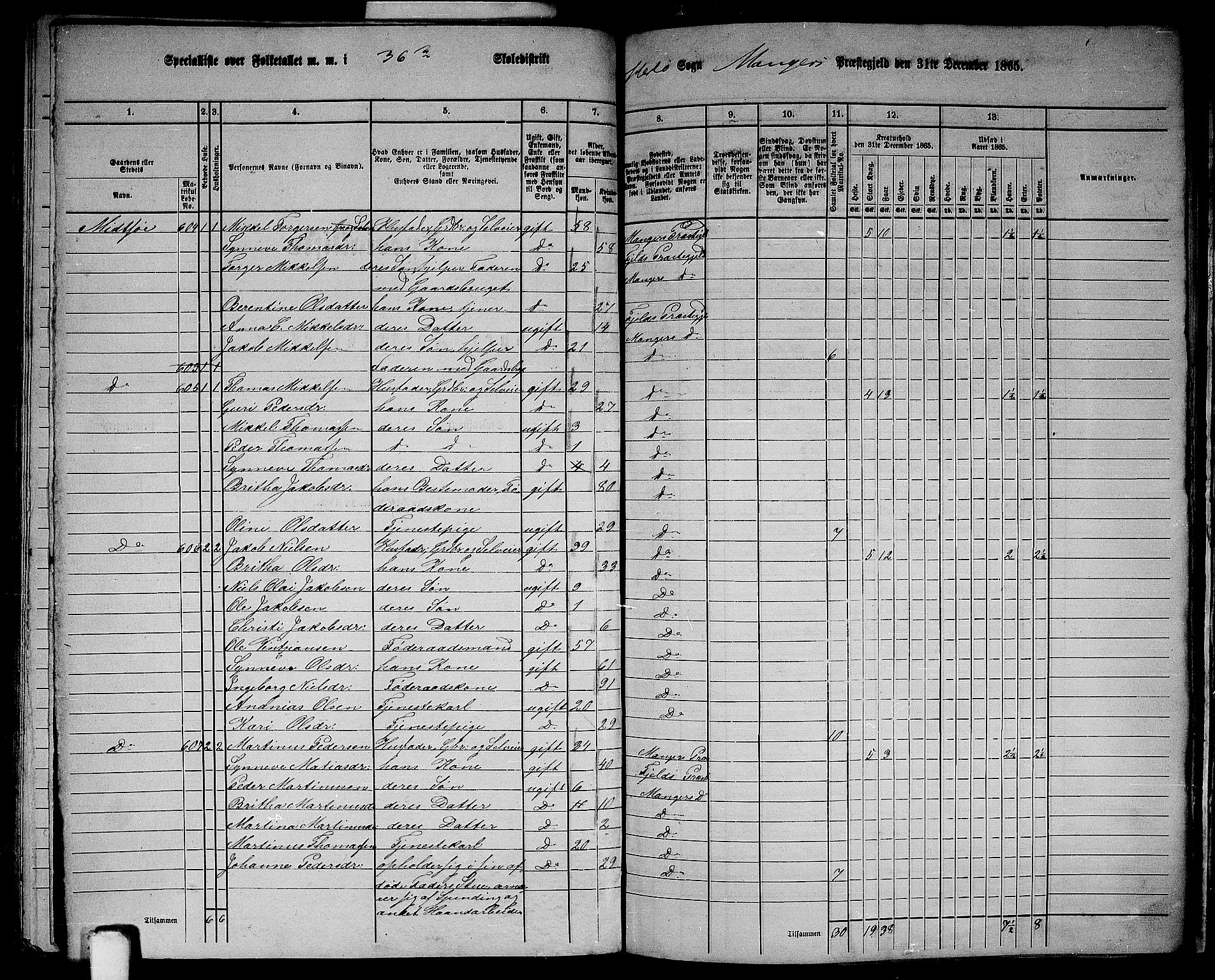 RA, 1865 census for Manger, 1865, p. 169