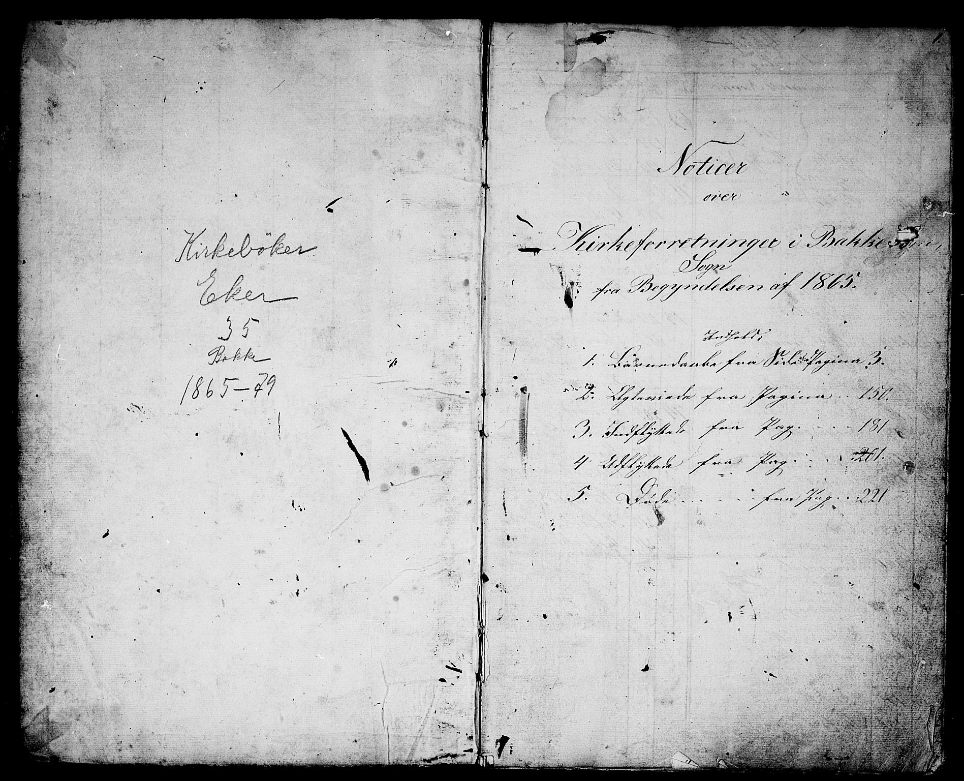 Eiker kirkebøker, SAKO/A-4/G/Gb/L0002: Parish register (copy) no. II 2, 1865-1879, p. 2-3