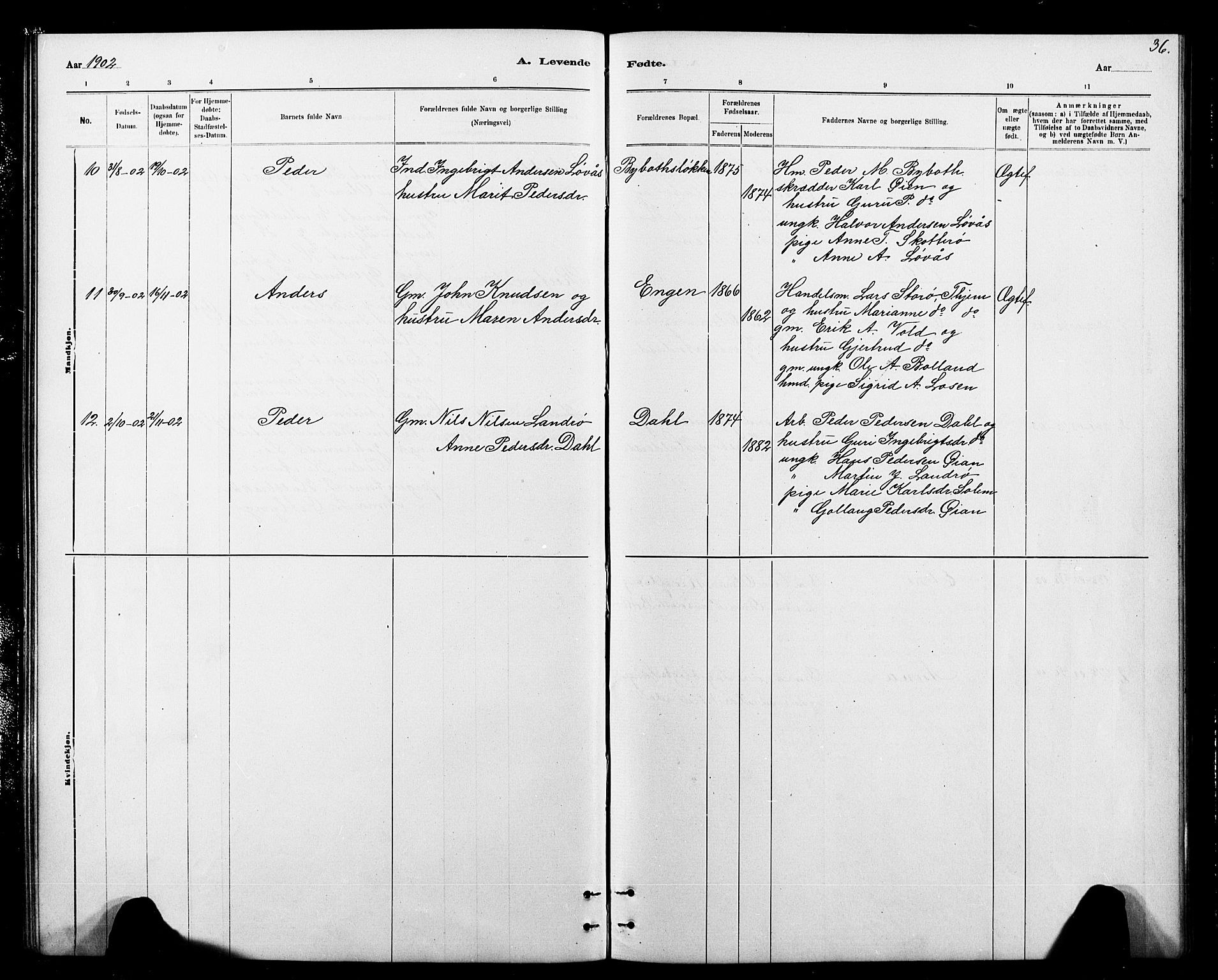 Ministerialprotokoller, klokkerbøker og fødselsregistre - Sør-Trøndelag, SAT/A-1456/693/L1123: Parish register (copy) no. 693C04, 1887-1910, p. 36