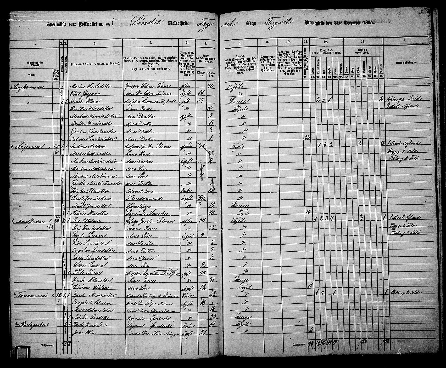 RA, 1865 census for Trysil, 1865, p. 96