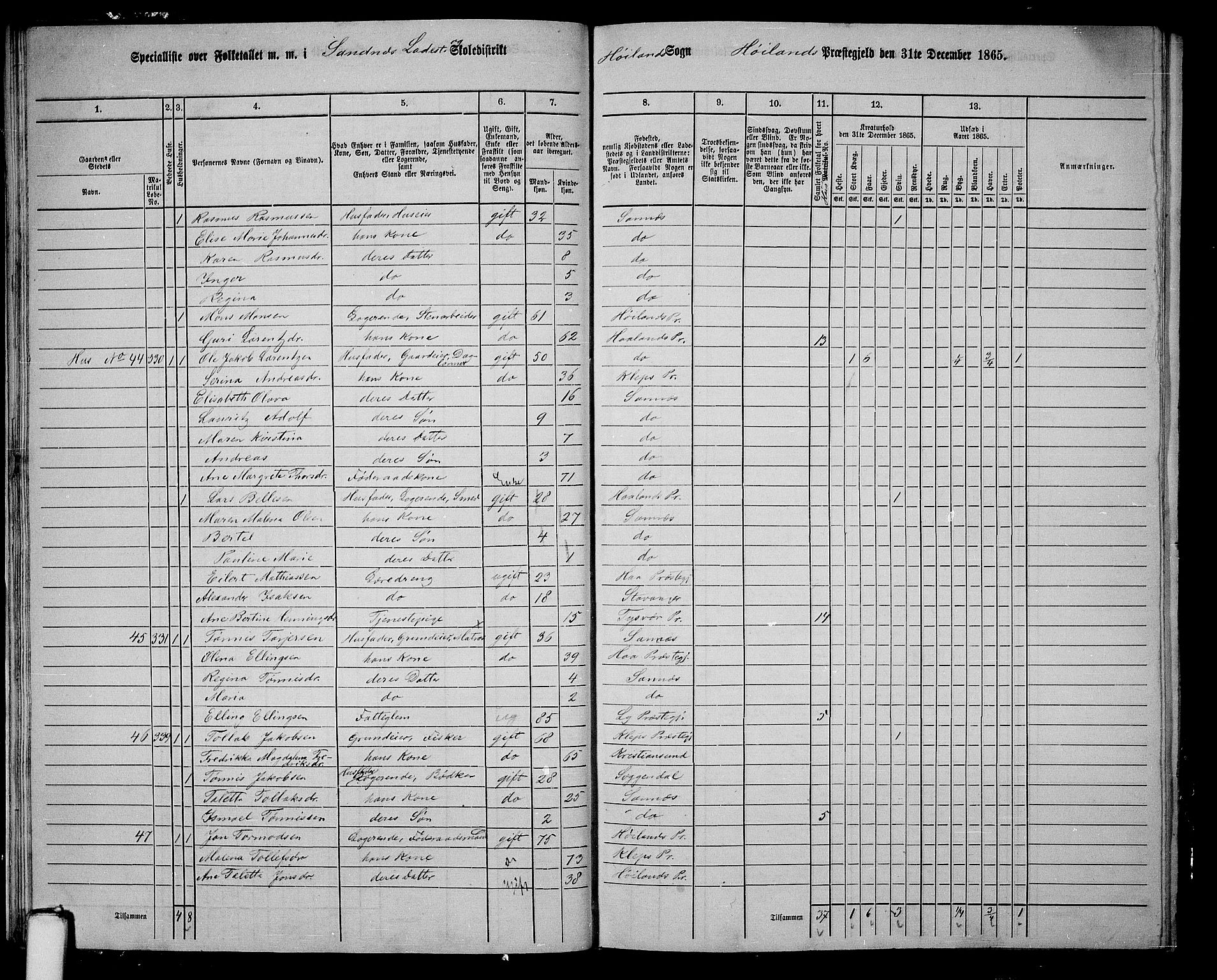 RA, 1865 census for Høyland, 1865, p. 161