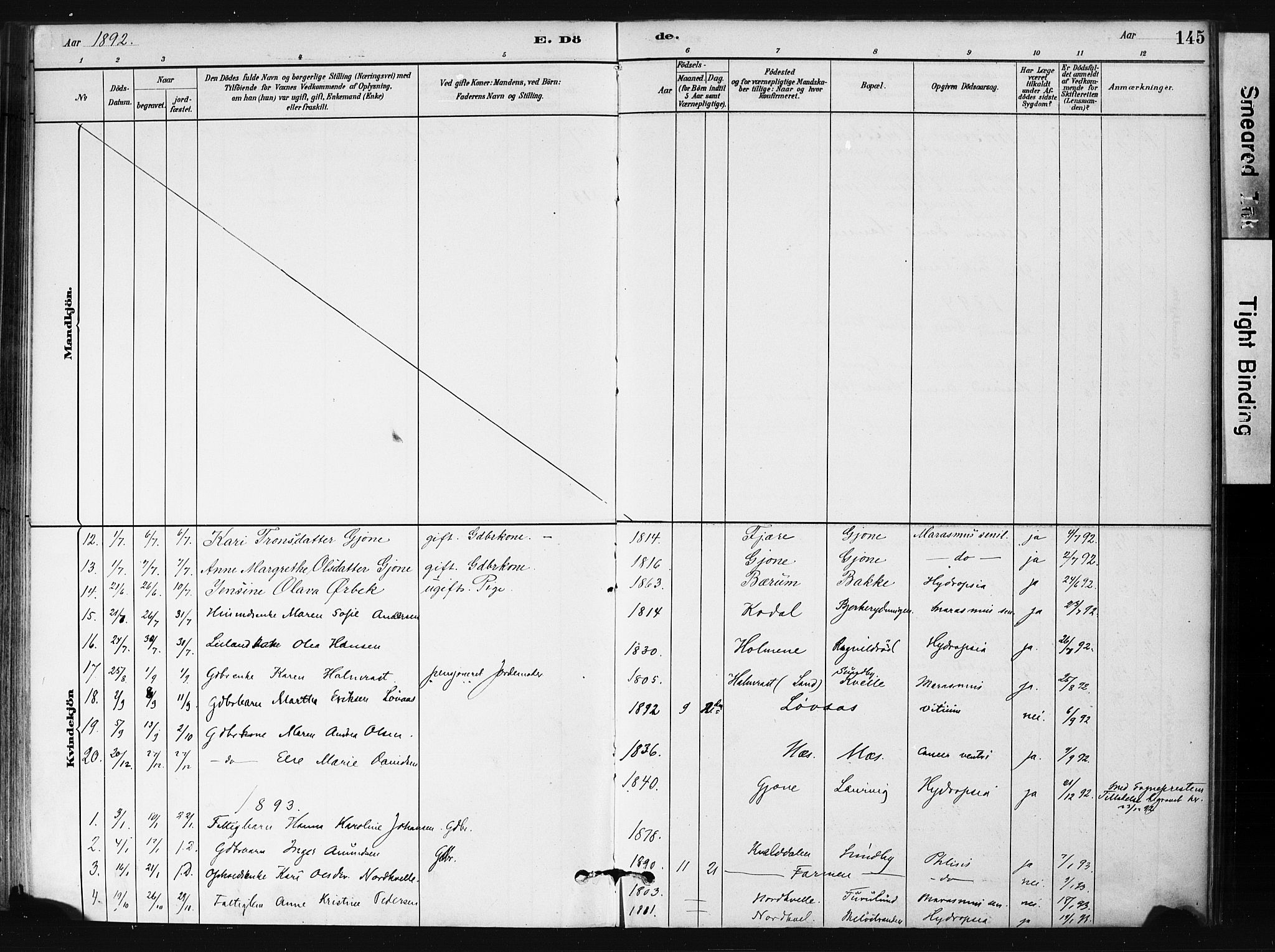 Hedrum kirkebøker, SAKO/A-344/F/Fb/L0001: Parish register (official) no. II 1, 1881-1905, p. 145