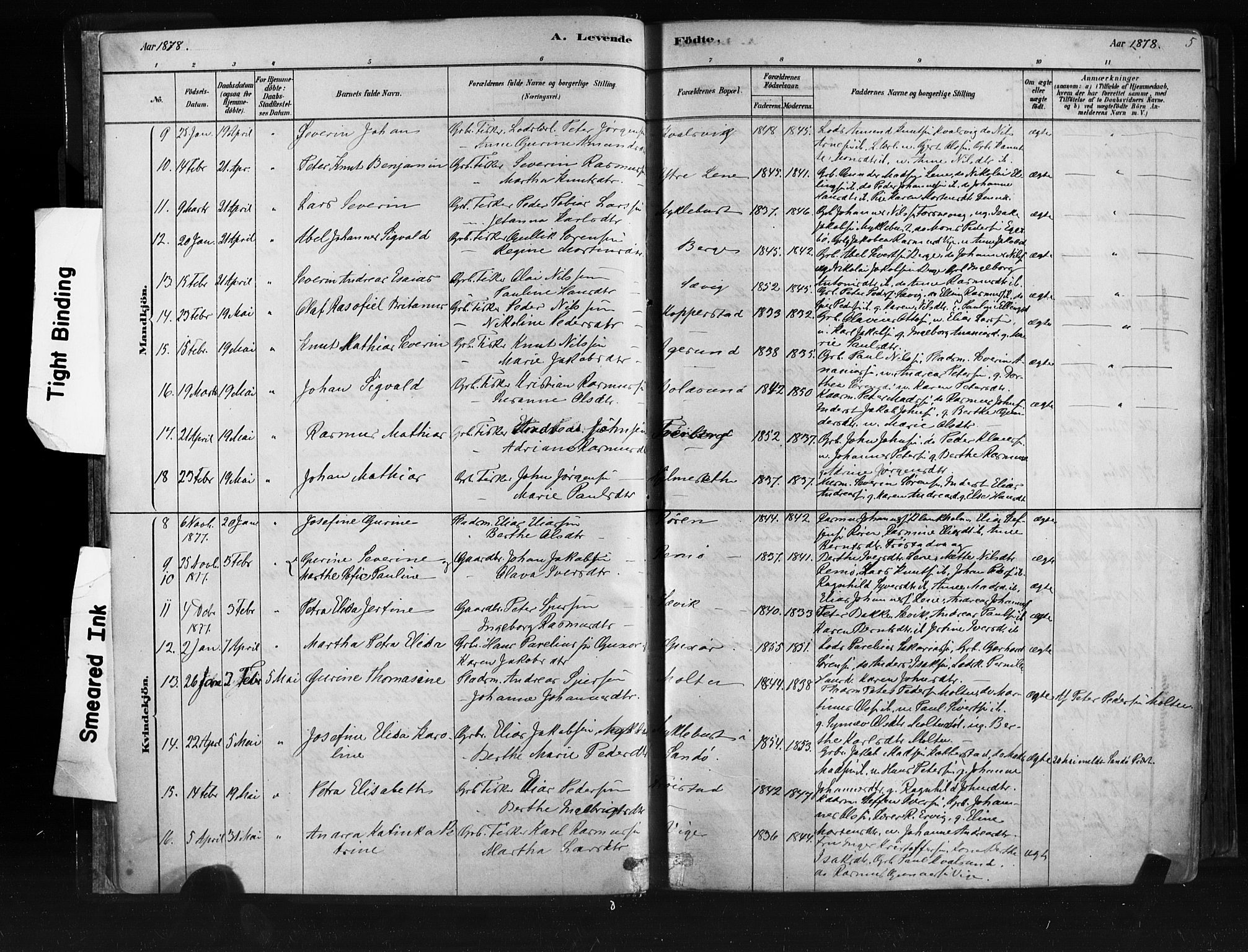 Ministerialprotokoller, klokkerbøker og fødselsregistre - Møre og Romsdal, AV/SAT-A-1454/507/L0073: Parish register (official) no. 507A08, 1878-1904, p. 5