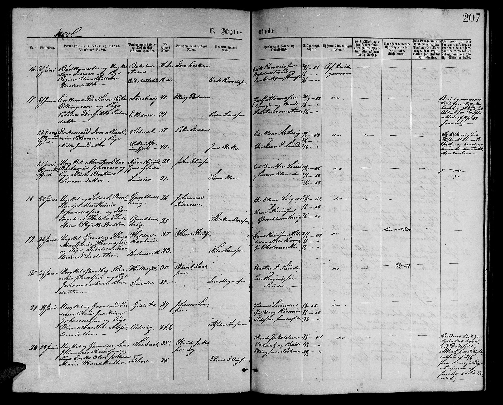 Ministerialprotokoller, klokkerbøker og fødselsregistre - Møre og Romsdal, AV/SAT-A-1454/528/L0428: Parish register (copy) no. 528C09, 1864-1880, p. 207