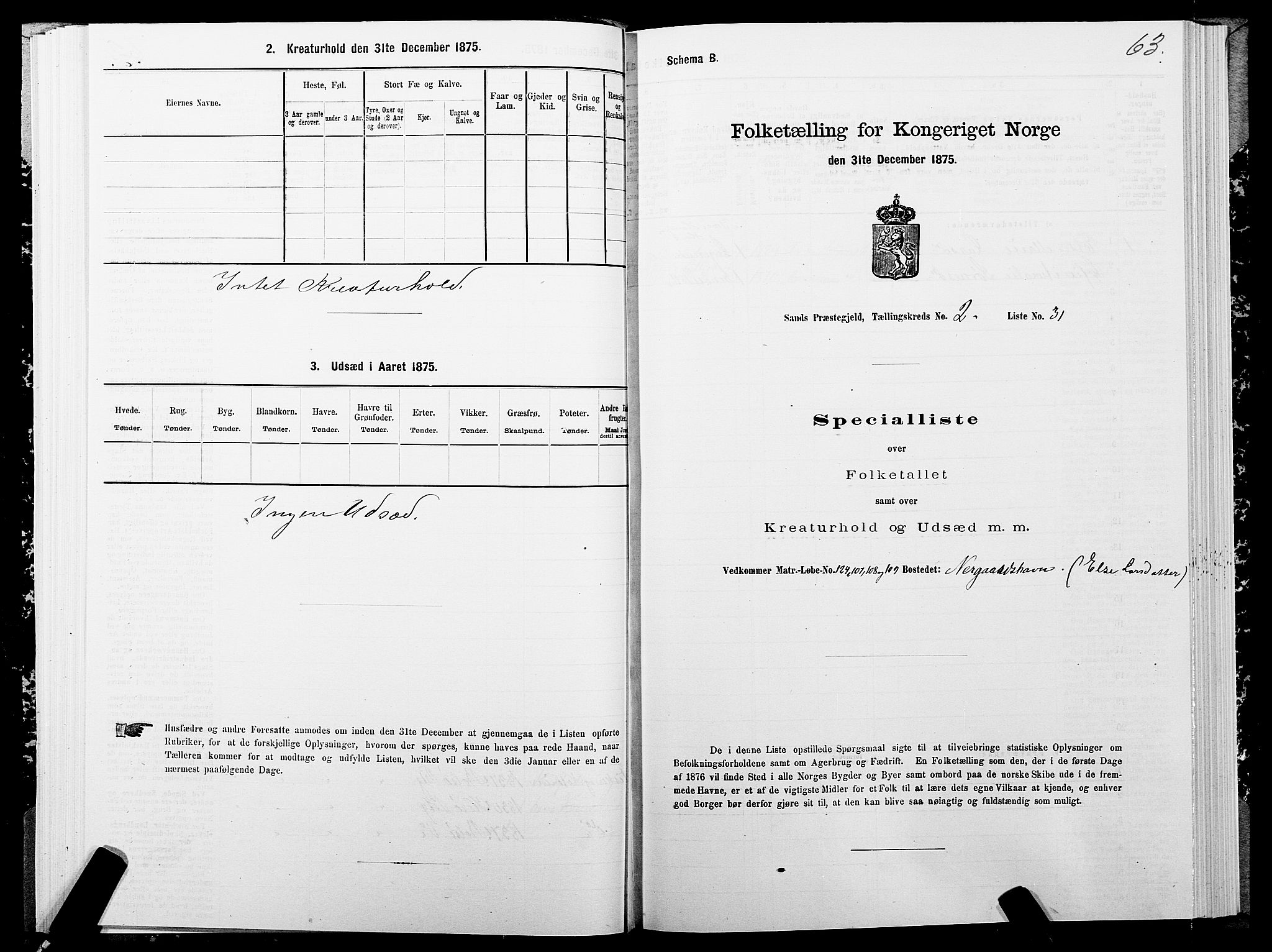 SATØ, 1875 census for 1915P Sand, 1875, p. 2063