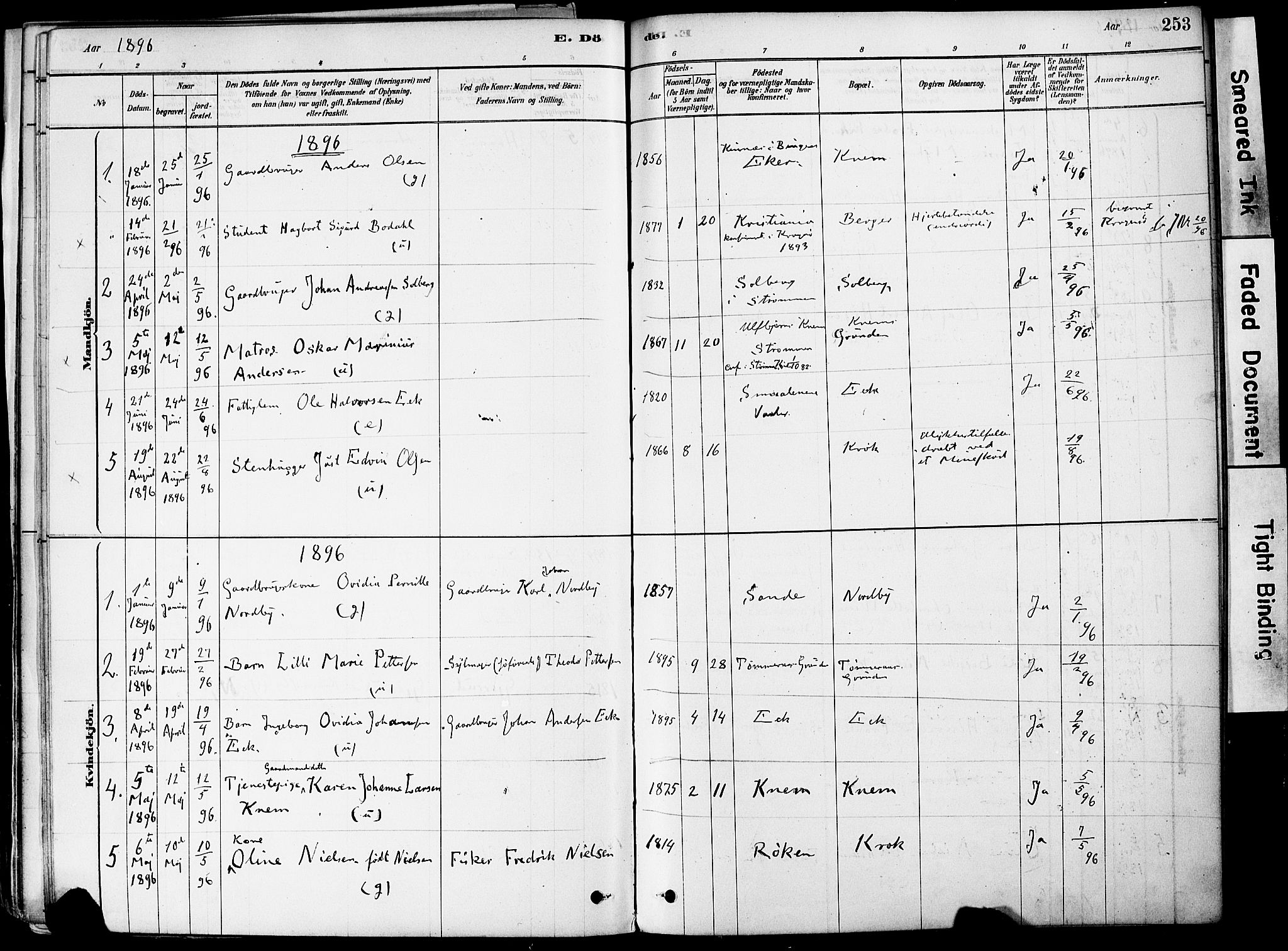 Strømm kirkebøker, AV/SAKO-A-322/F/Fa/L0004: Parish register (official) no. I 4, 1878-1899, p. 253