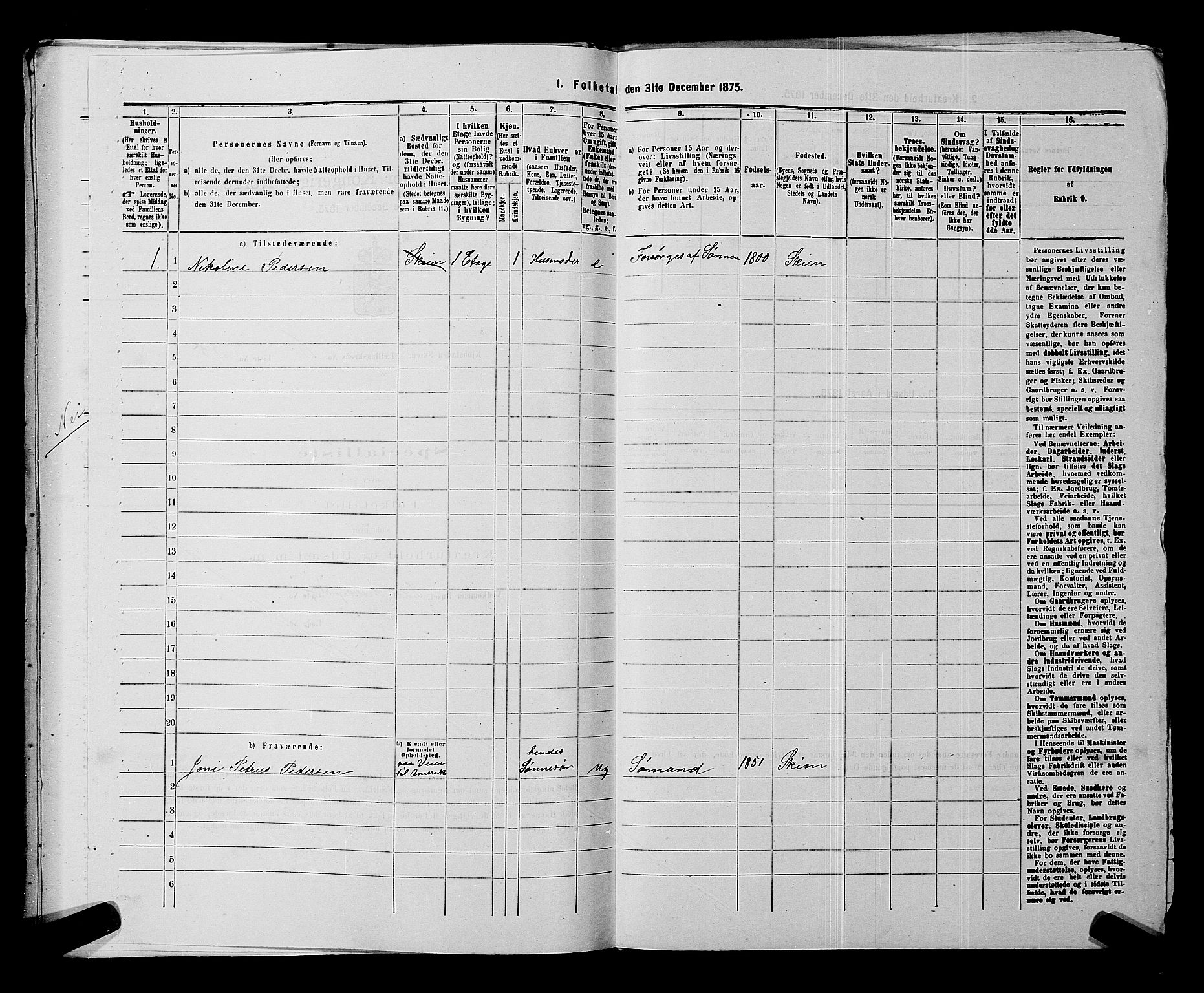 SAKO, 1875 census for 0806P Skien, 1875, p. 1034