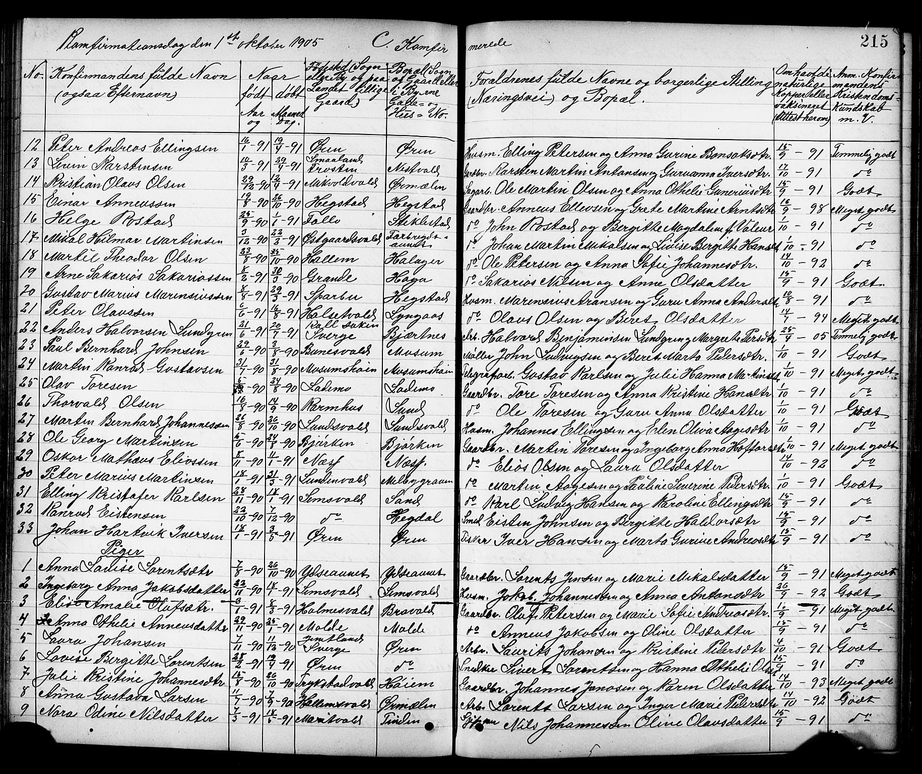 Ministerialprotokoller, klokkerbøker og fødselsregistre - Nord-Trøndelag, SAT/A-1458/723/L0257: Parish register (copy) no. 723C05, 1890-1907, p. 215