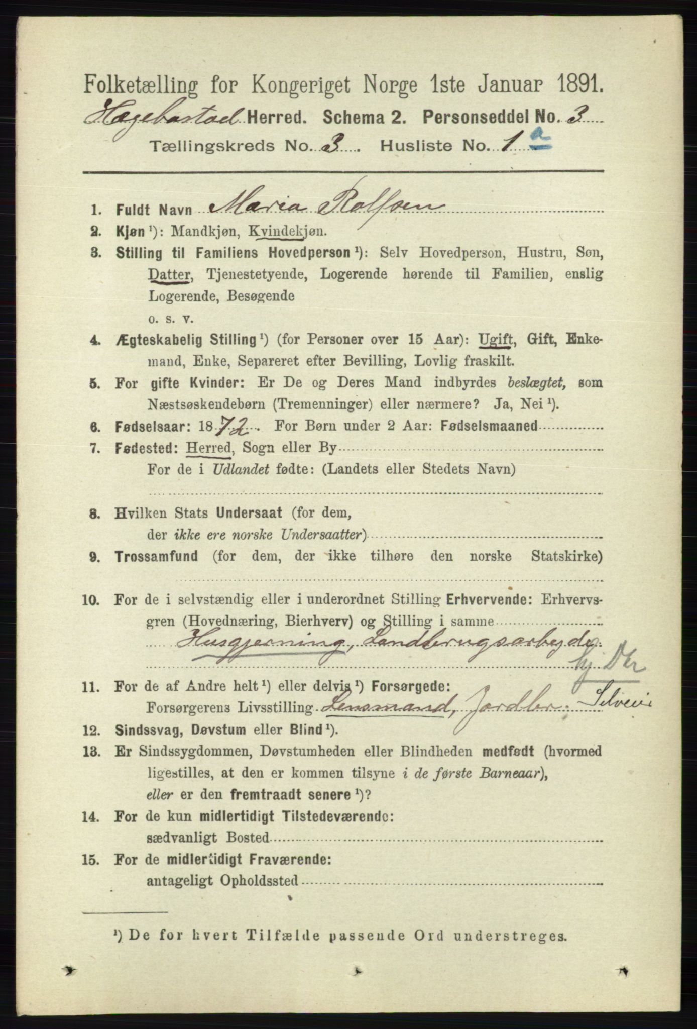 RA, 1891 census for 1034 Hægebostad, 1891, p. 878