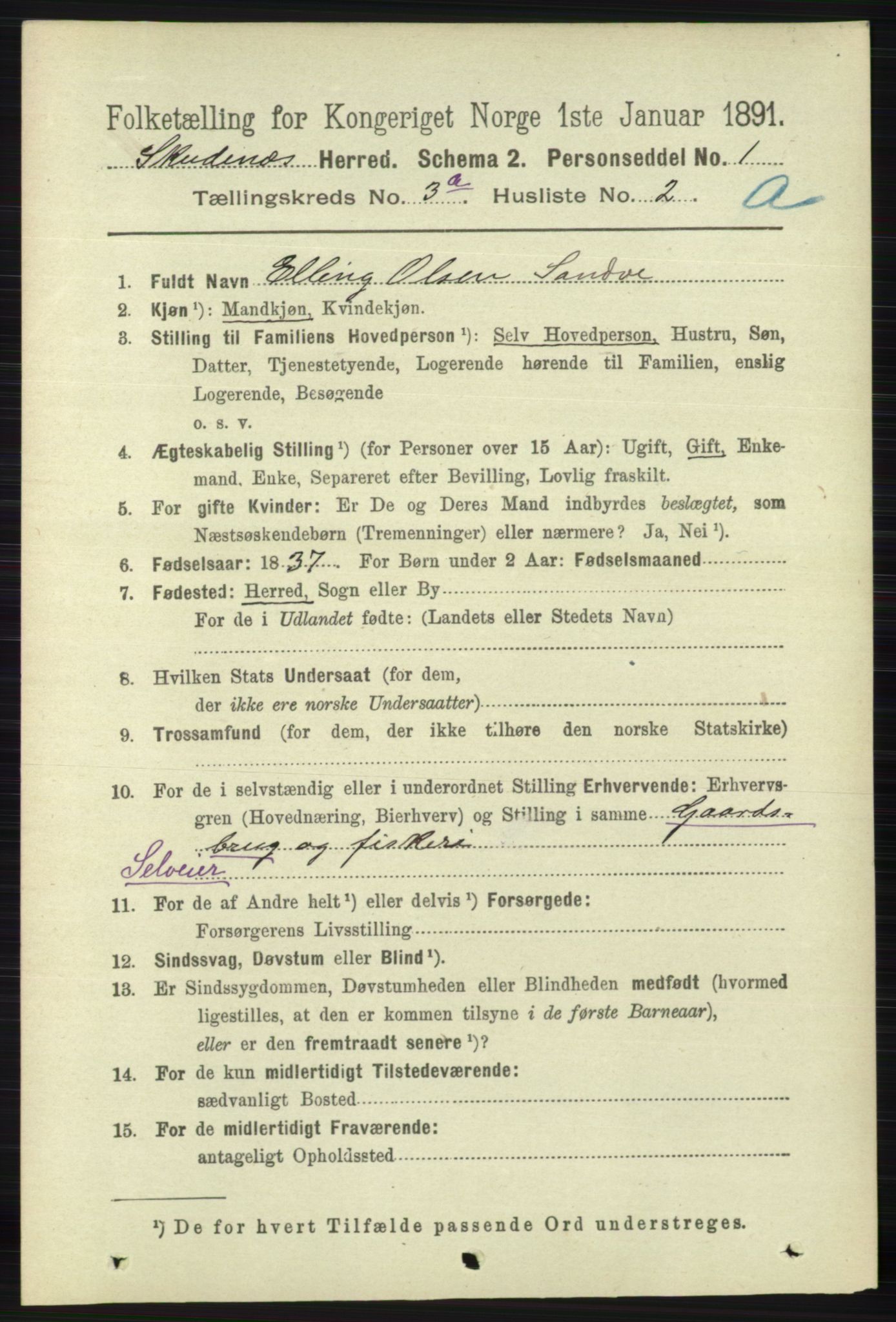 RA, 1891 census for 1150 Skudenes, 1891, p. 1382