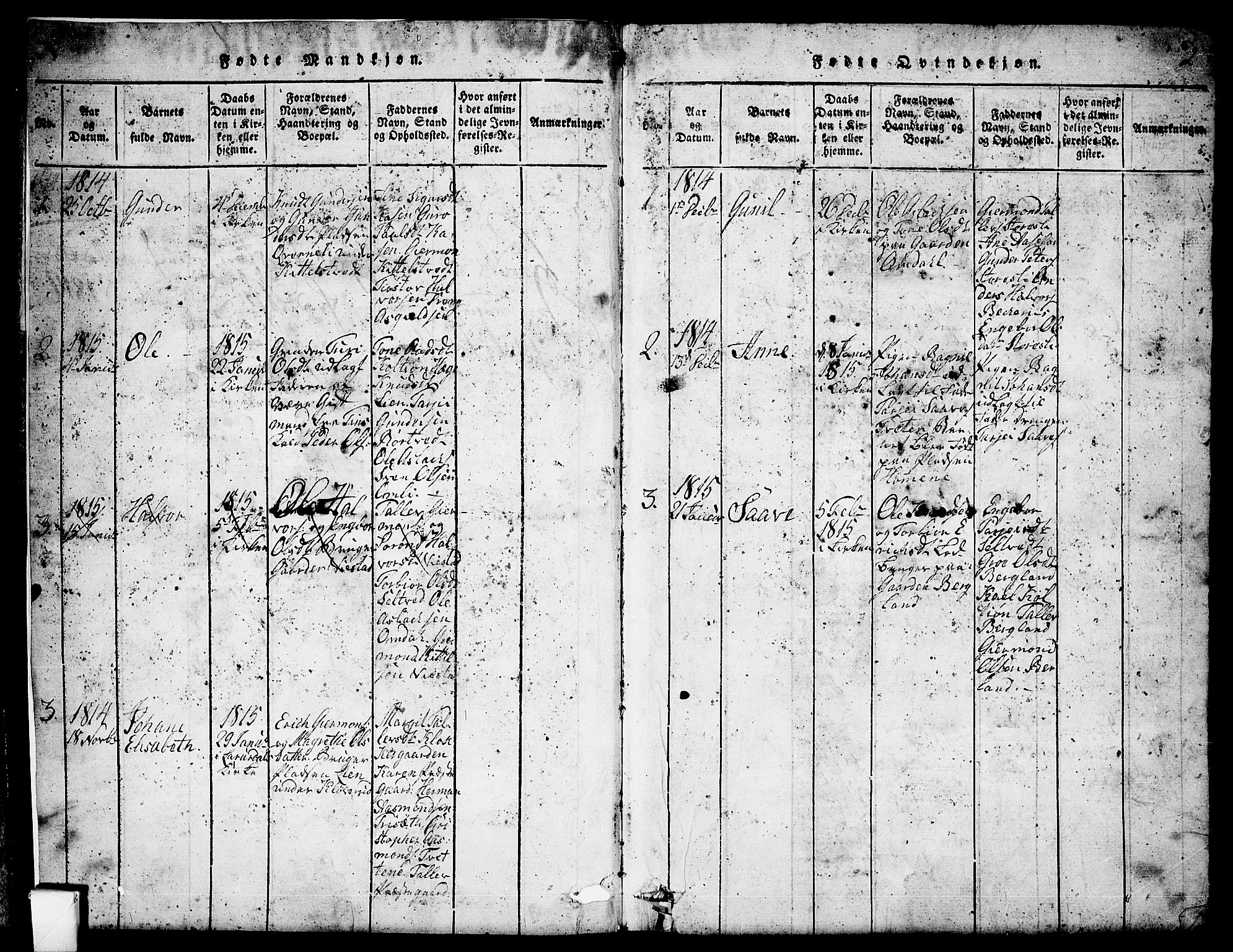 Mo kirkebøker, SAKO/A-286/G/Gb/L0001: Parish register (copy) no. II 1, 1814-1843, p. 2