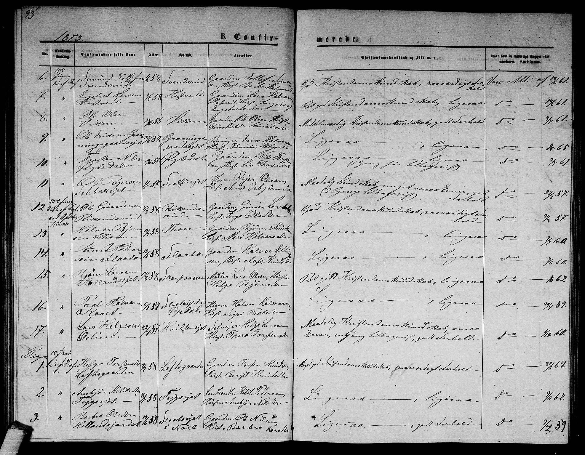 Nore kirkebøker, AV/SAKO-A-238/G/Ga/L0001: Parish register (copy) no. I 1, 1872-1877, p. 93