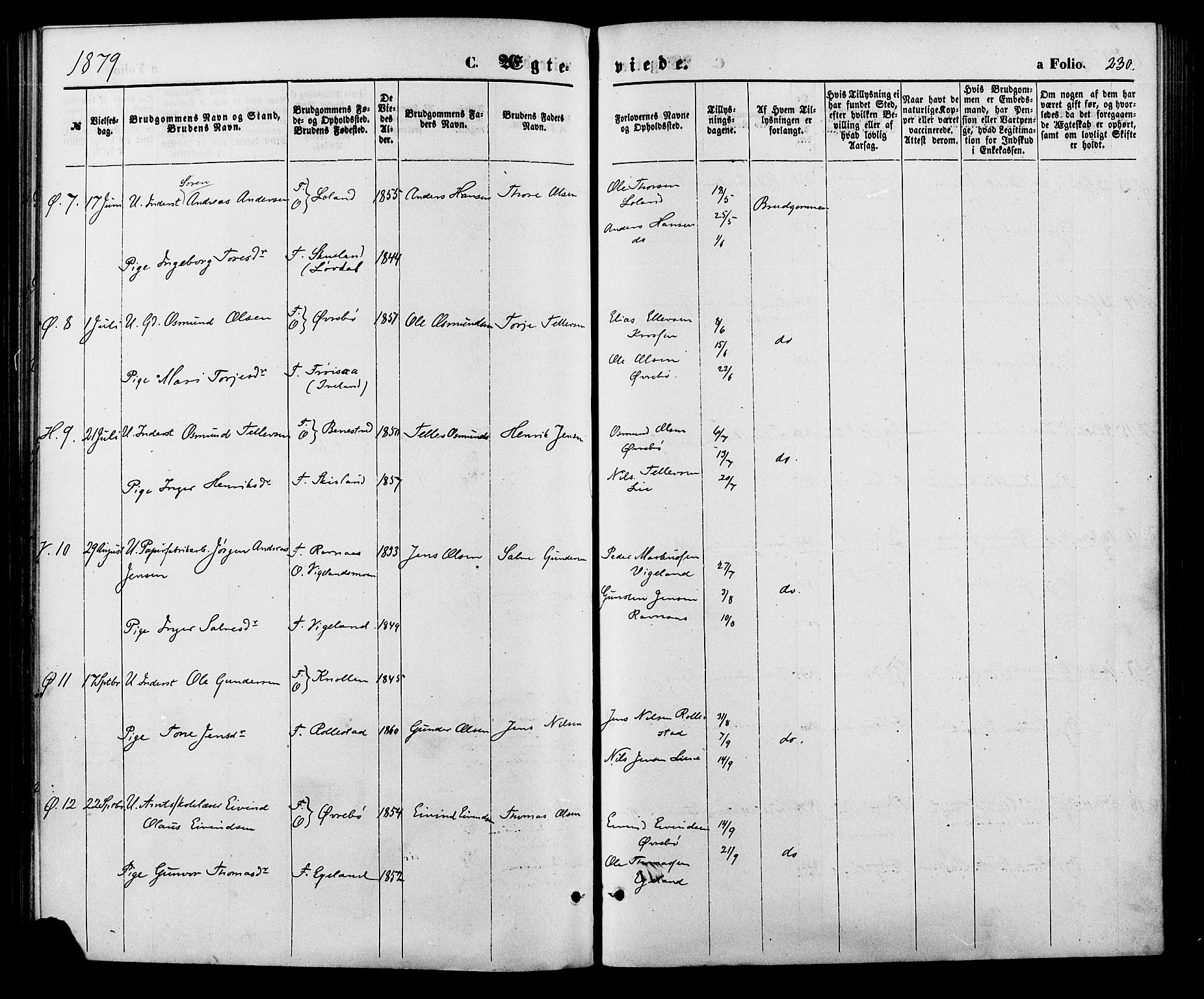 Vennesla sokneprestkontor, AV/SAK-1111-0045/Fa/Fac/L0008: Parish register (official) no. A 8, 1874-1883, p. 230