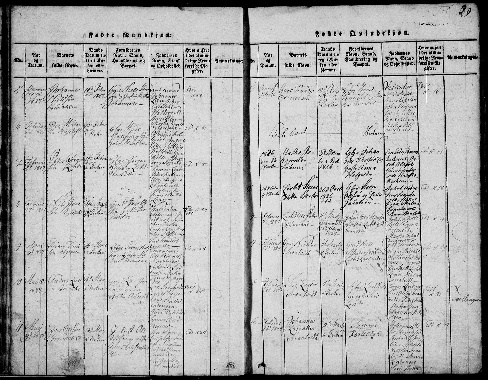 Skjold sokneprestkontor, AV/SAST-A-101847/H/Ha/Hab/L0002: Parish register (copy) no. B 2 /2, 1815-1830, p. 29