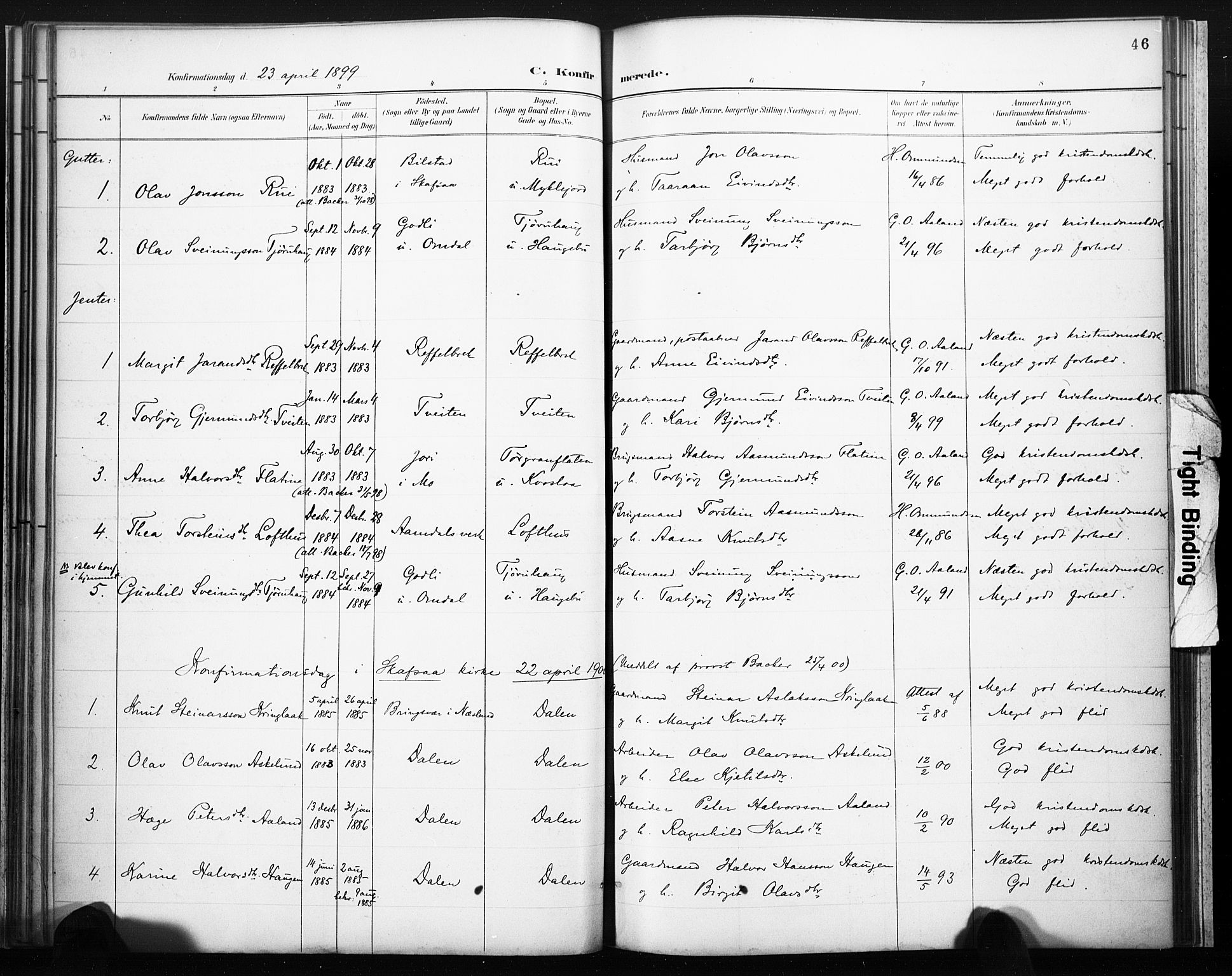 Lårdal kirkebøker, SAKO/A-284/F/Fb/L0002: Parish register (official) no. II 2, 1887-1918, p. 46
