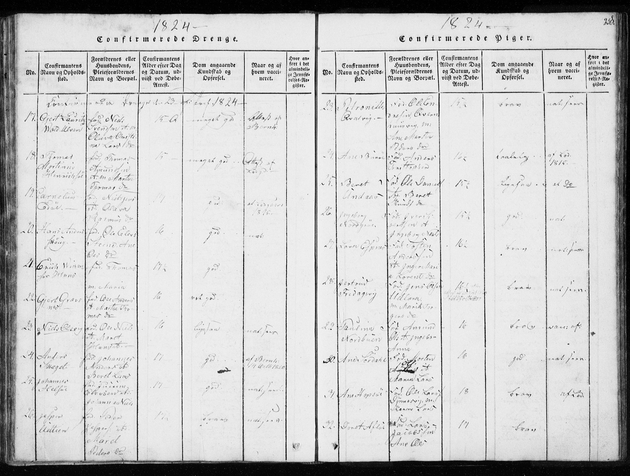 Ministerialprotokoller, klokkerbøker og fødselsregistre - Sør-Trøndelag, AV/SAT-A-1456/634/L0527: Parish register (official) no. 634A03, 1818-1826, p. 250