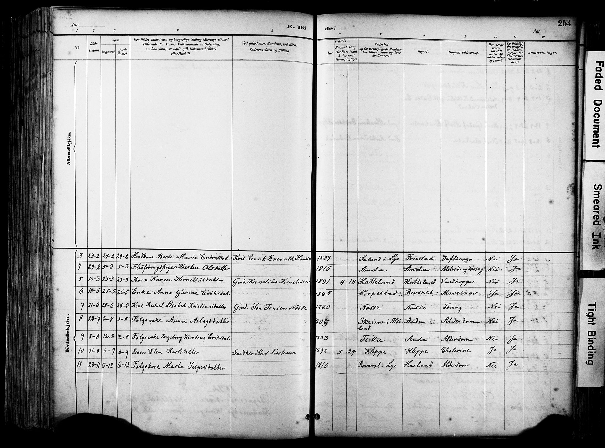 Klepp sokneprestkontor, SAST/A-101803/001/3/30BA/L0009: Parish register (official) no. A 7, 1886-1915, p. 254