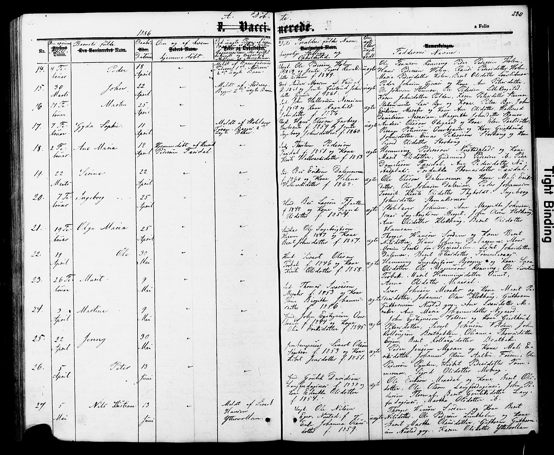 Ministerialprotokoller, klokkerbøker og fødselsregistre - Nord-Trøndelag, AV/SAT-A-1458/706/L0049: Parish register (copy) no. 706C01, 1864-1895, p. 280