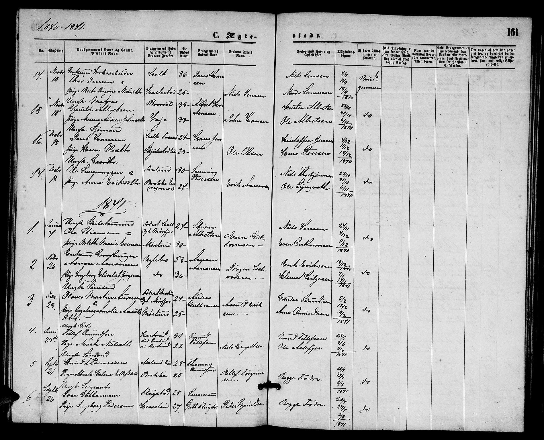 Austre Moland sokneprestkontor, AV/SAK-1111-0001/F/Fb/Fba/L0002: Parish register (copy) no. B 2, 1869-1879, p. 161