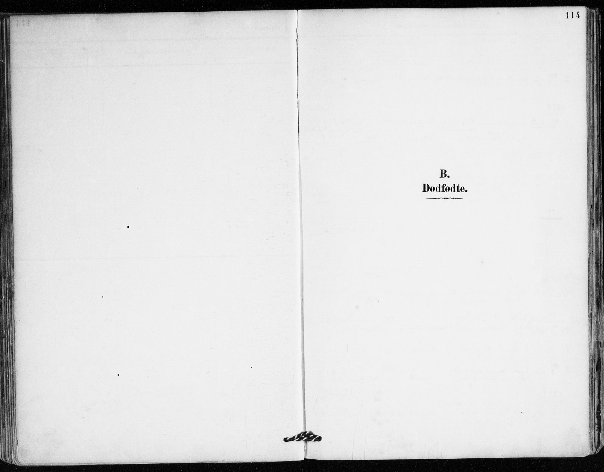 Mariakirken Sokneprestembete, AV/SAB-A-76901/H/Haa/L0008: Parish register (official) no. A 8, 1893-1942, p. 114