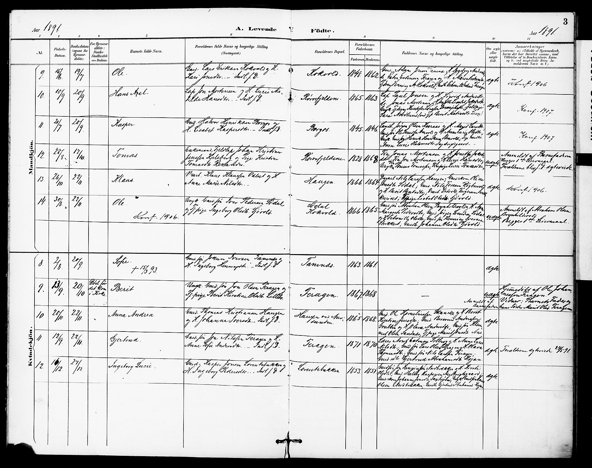 Ministerialprotokoller, klokkerbøker og fødselsregistre - Sør-Trøndelag, SAT/A-1456/683/L0948: Parish register (official) no. 683A01, 1891-1902, p. 3