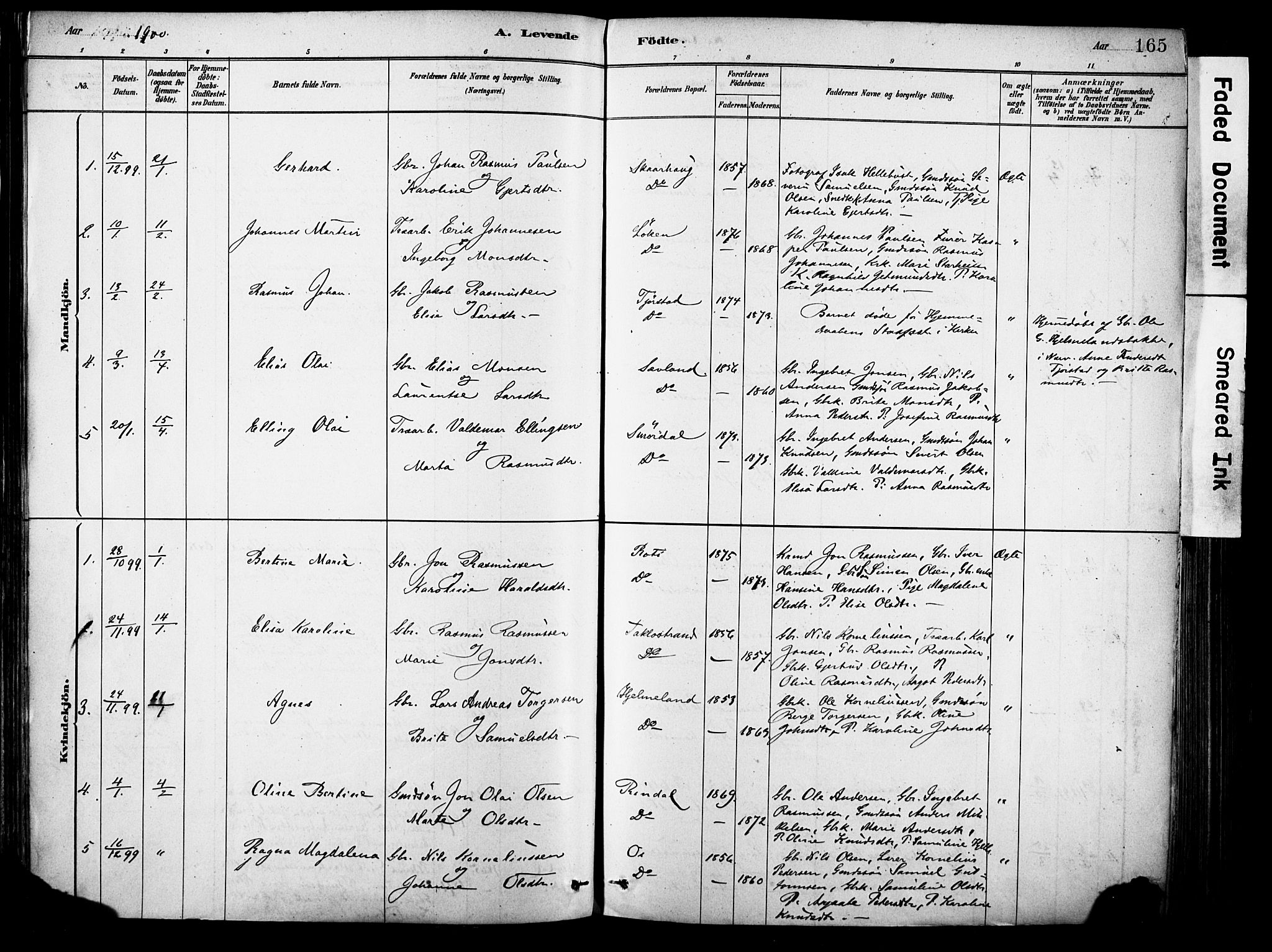 Eid sokneprestembete, AV/SAB-A-82301/H/Haa/Haab/L0001: Parish register (official) no. B 1, 1879-1906, p. 165