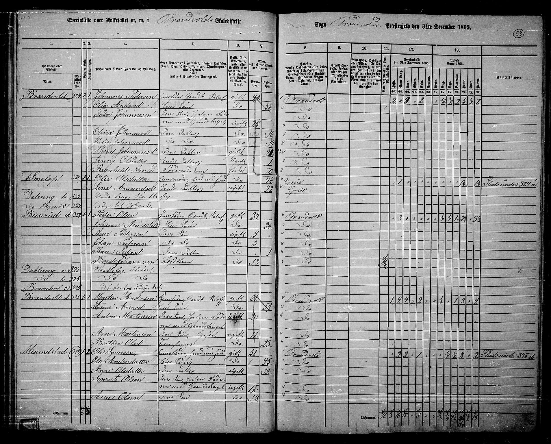 RA, 1865 census for Brandval, 1865, p. 50