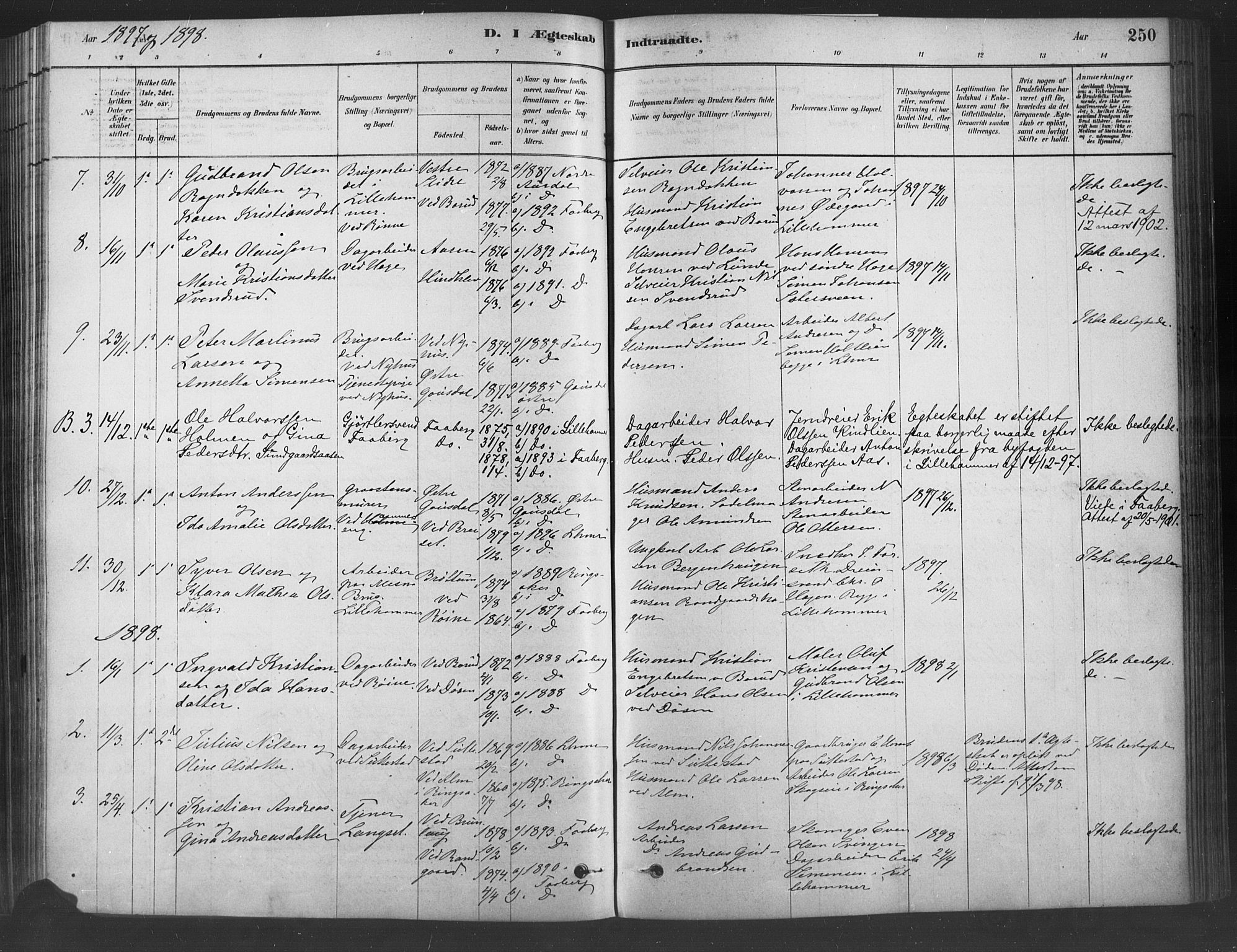 Fåberg prestekontor, SAH/PREST-086/H/Ha/Haa/L0009: Parish register (official) no. 9, 1879-1898, p. 250