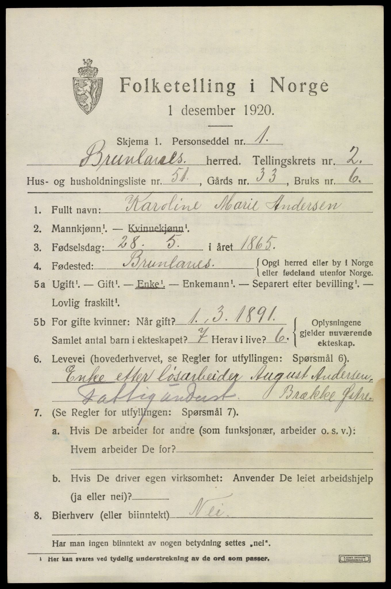 SAKO, 1920 census for Brunlanes, 1920, p. 3849